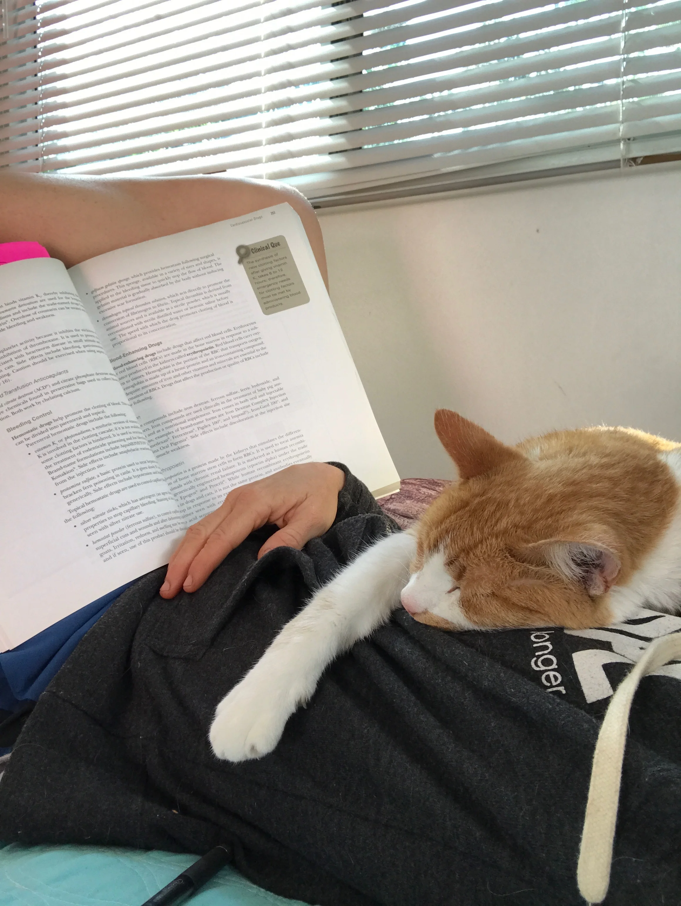 Jazzy using me as her afternoon nap pillow.