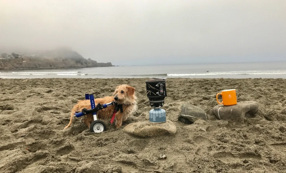 Charlie making beach camp coffee.jpg