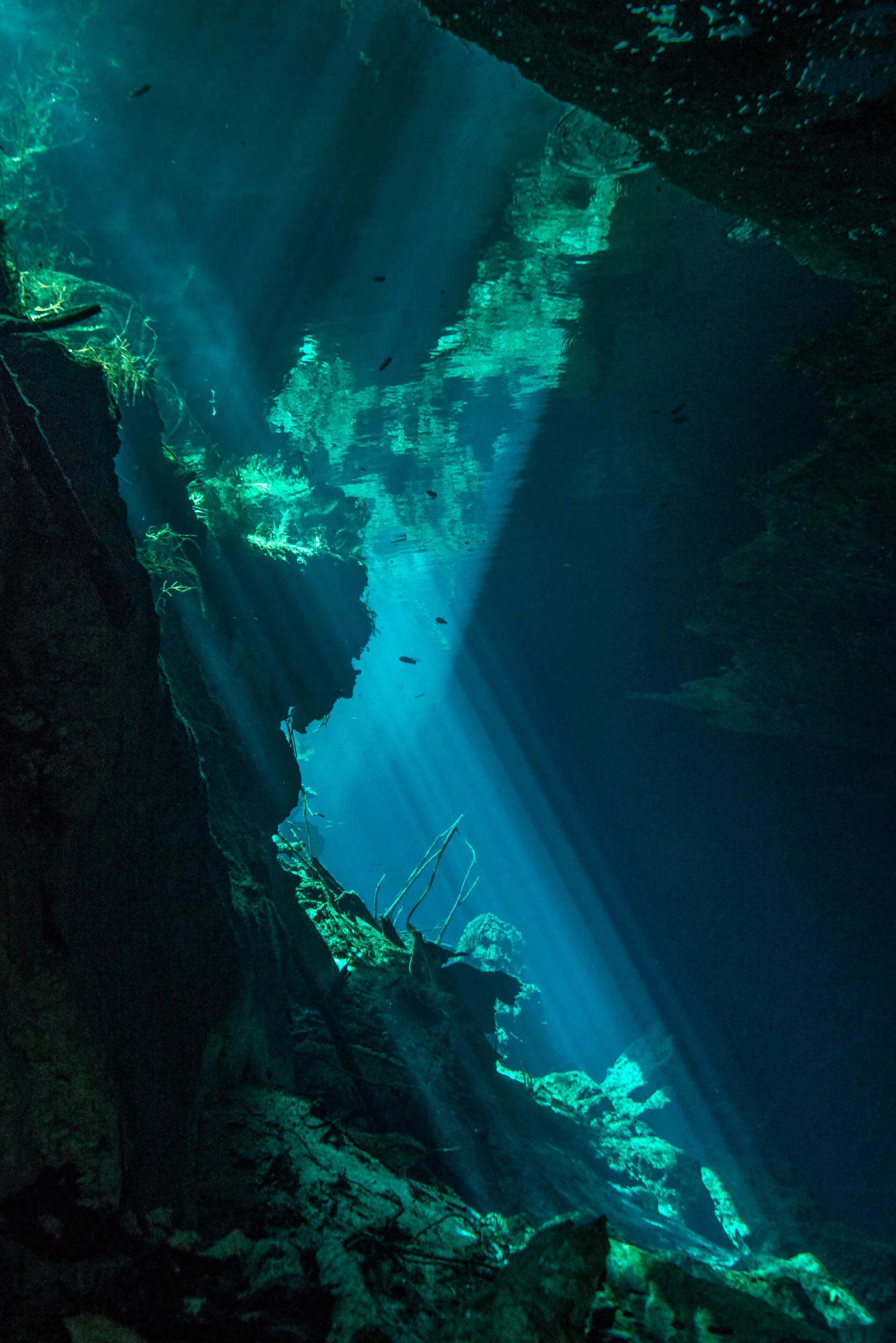 Cenote Chac Mool