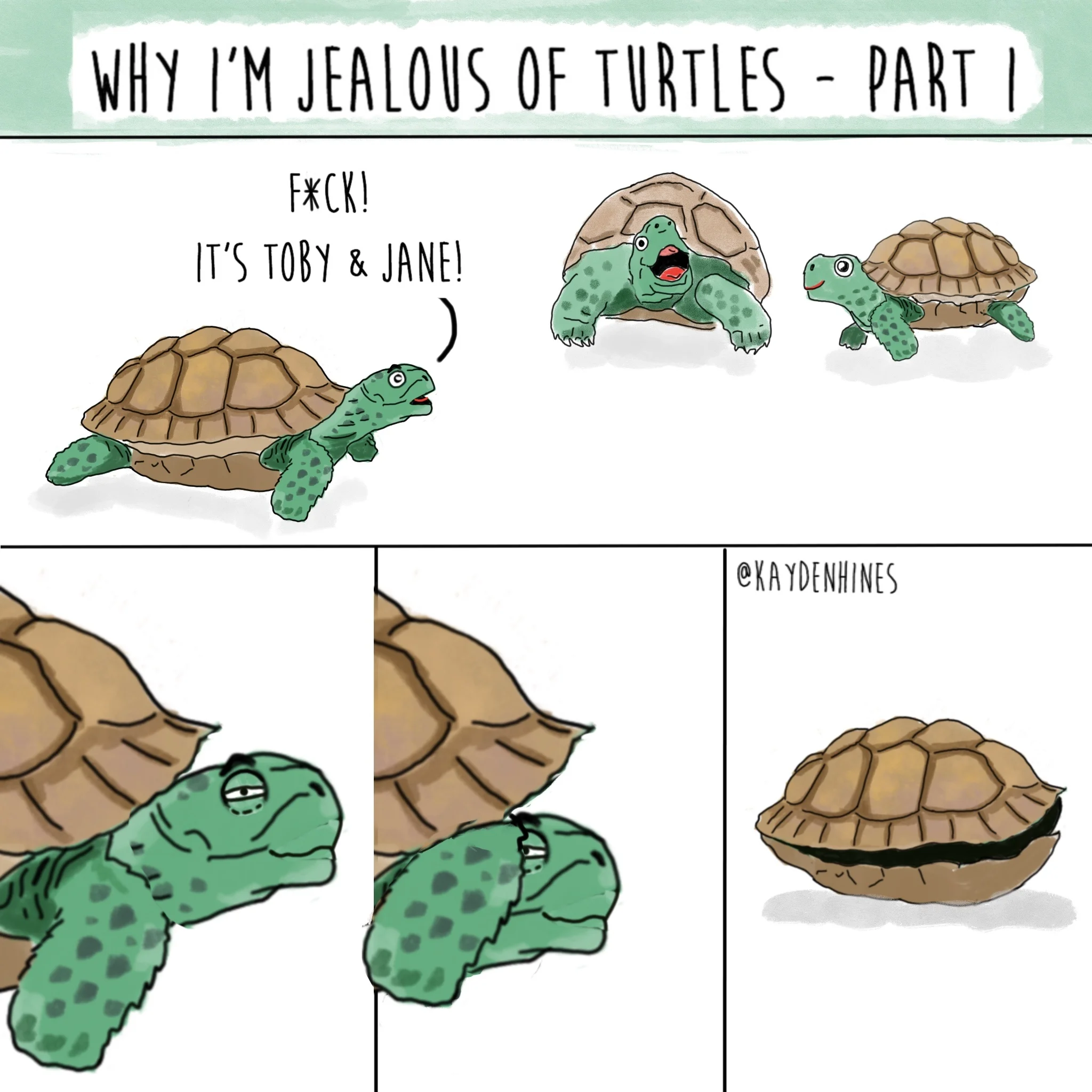 Jealous_Of_Turtles_-_1.jpg