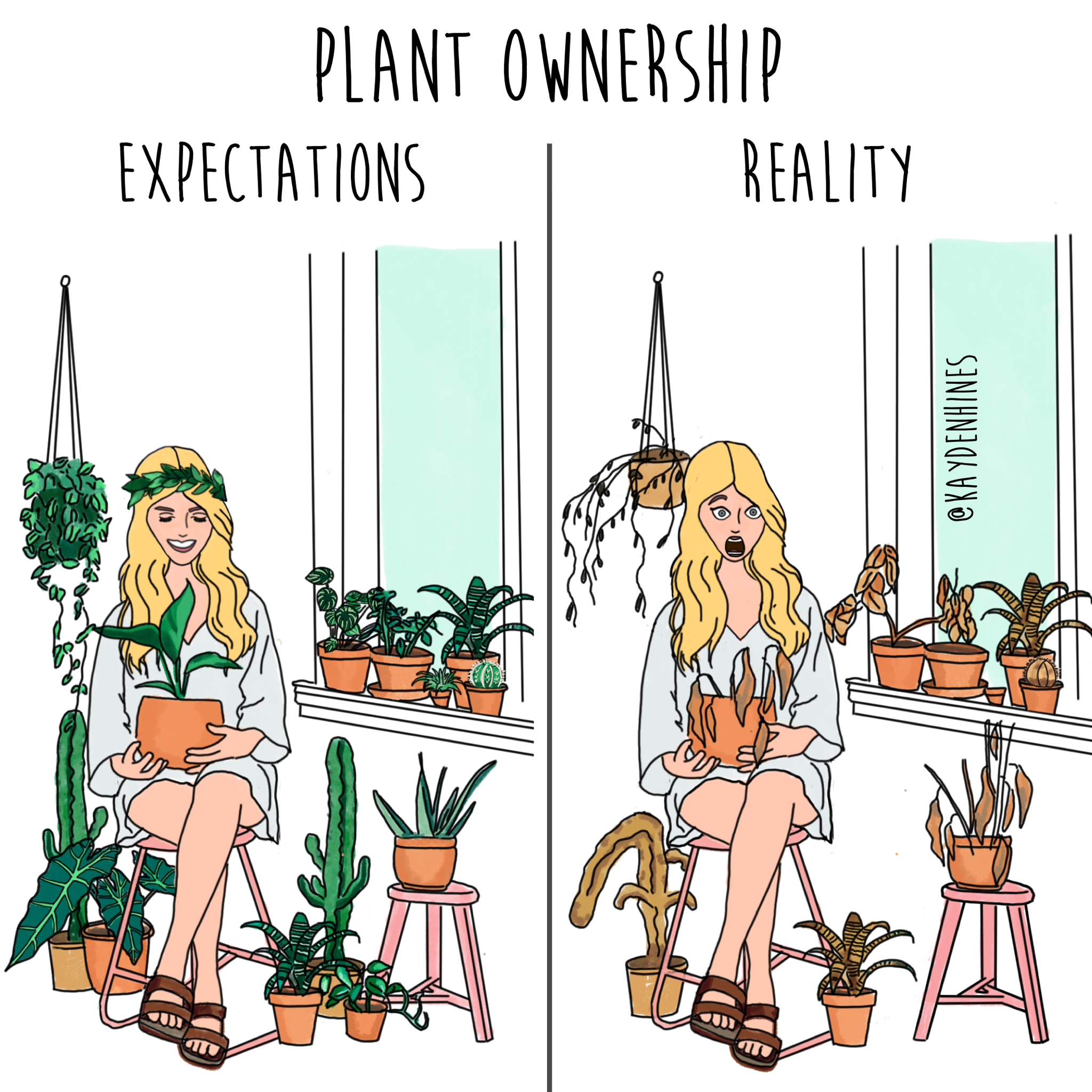 Plant Ownership - Exp vs Reality - PNG.png