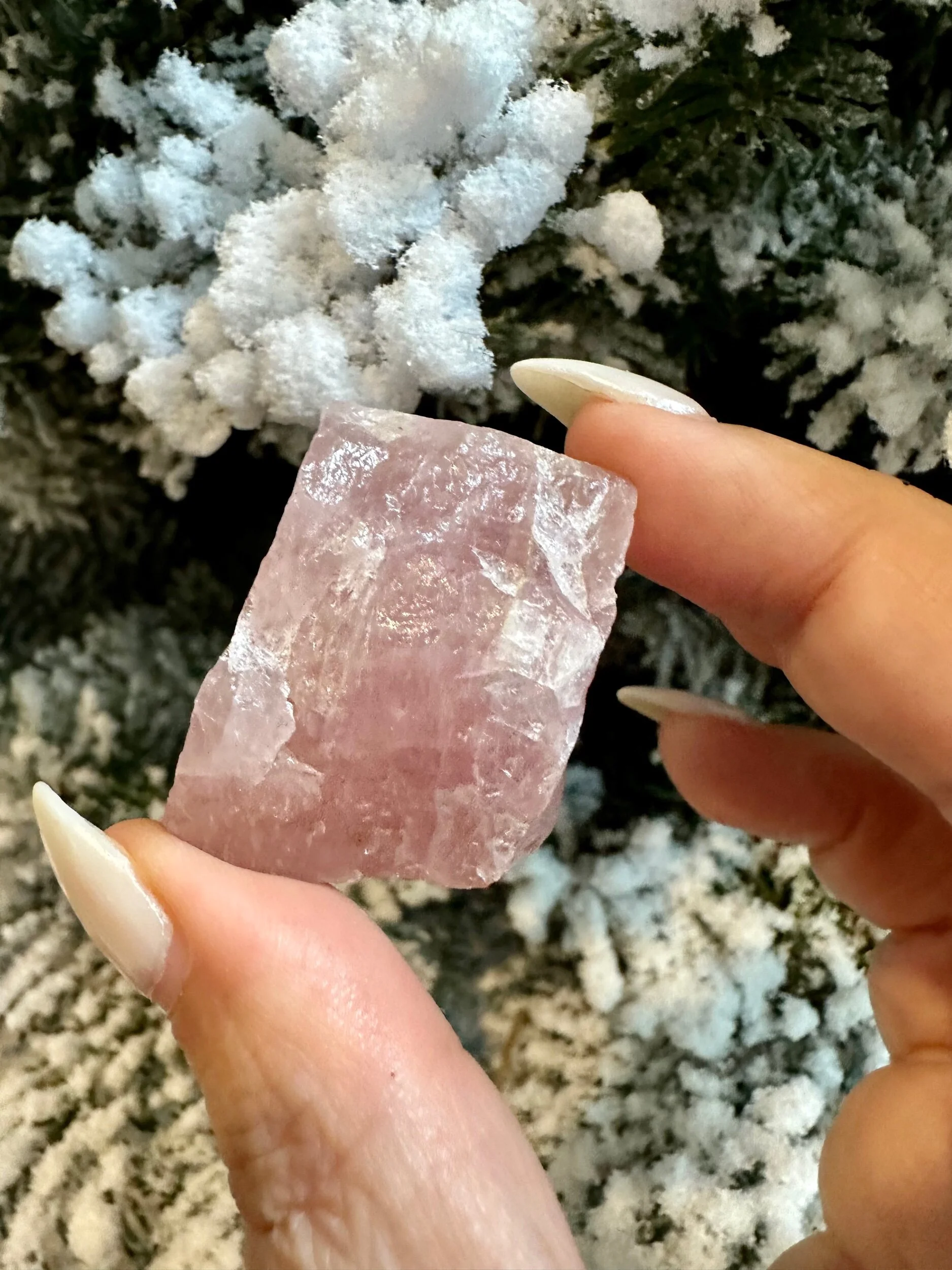 0066020A-9490-4757-AD34-6E1B5B363A2B