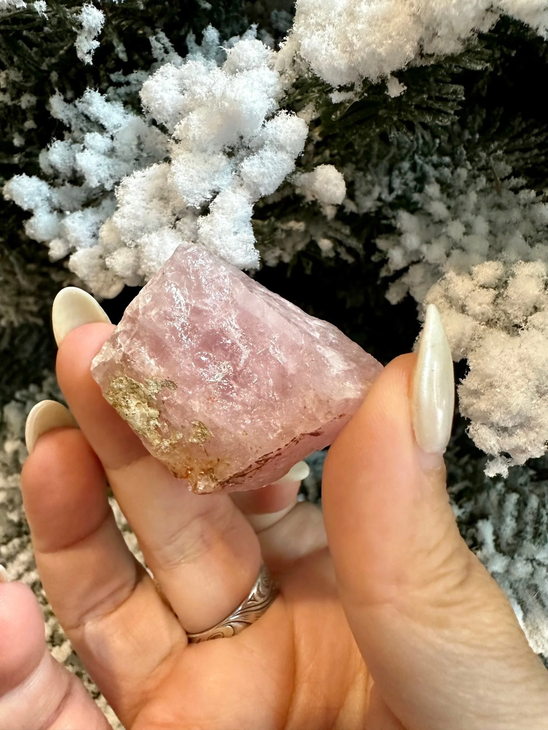 FAA2EBAC-9C76-4DC6-B323-2A121789998E