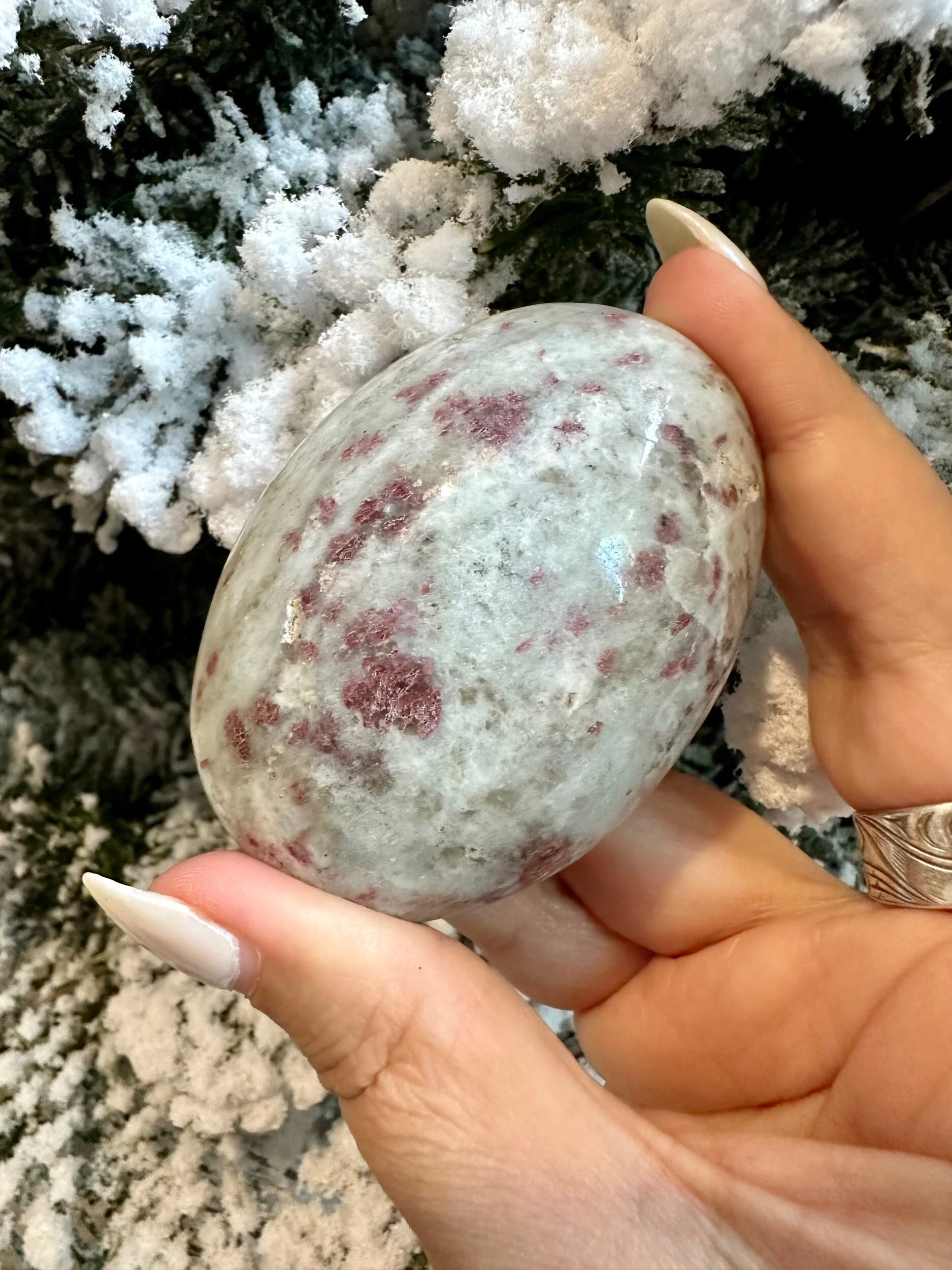 E02C43B3-9E2E-434F-A704-553AB21FBDE7