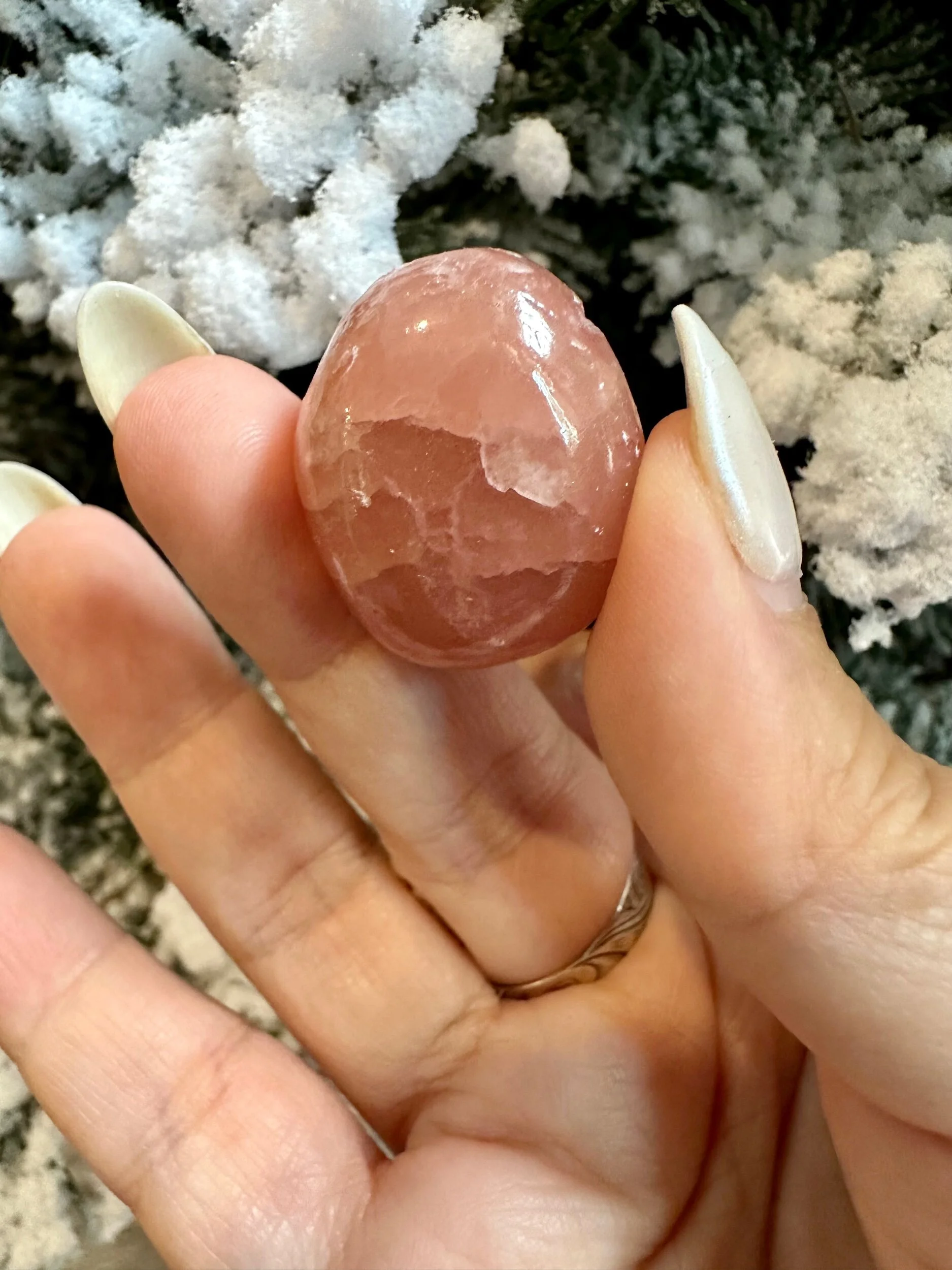 F0C6B323-2449-4C1A-AAFE-466C755FDACB