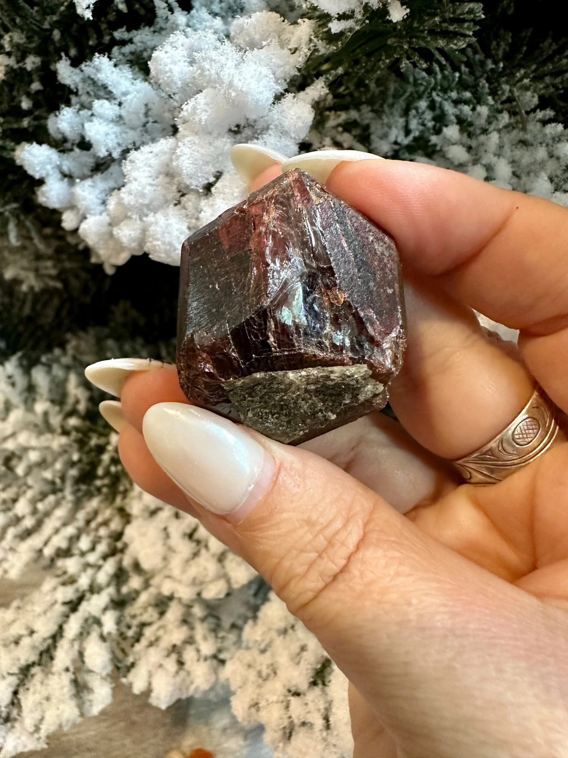 11DDBD95-7E85-492F-951C-F8AE681A9B55