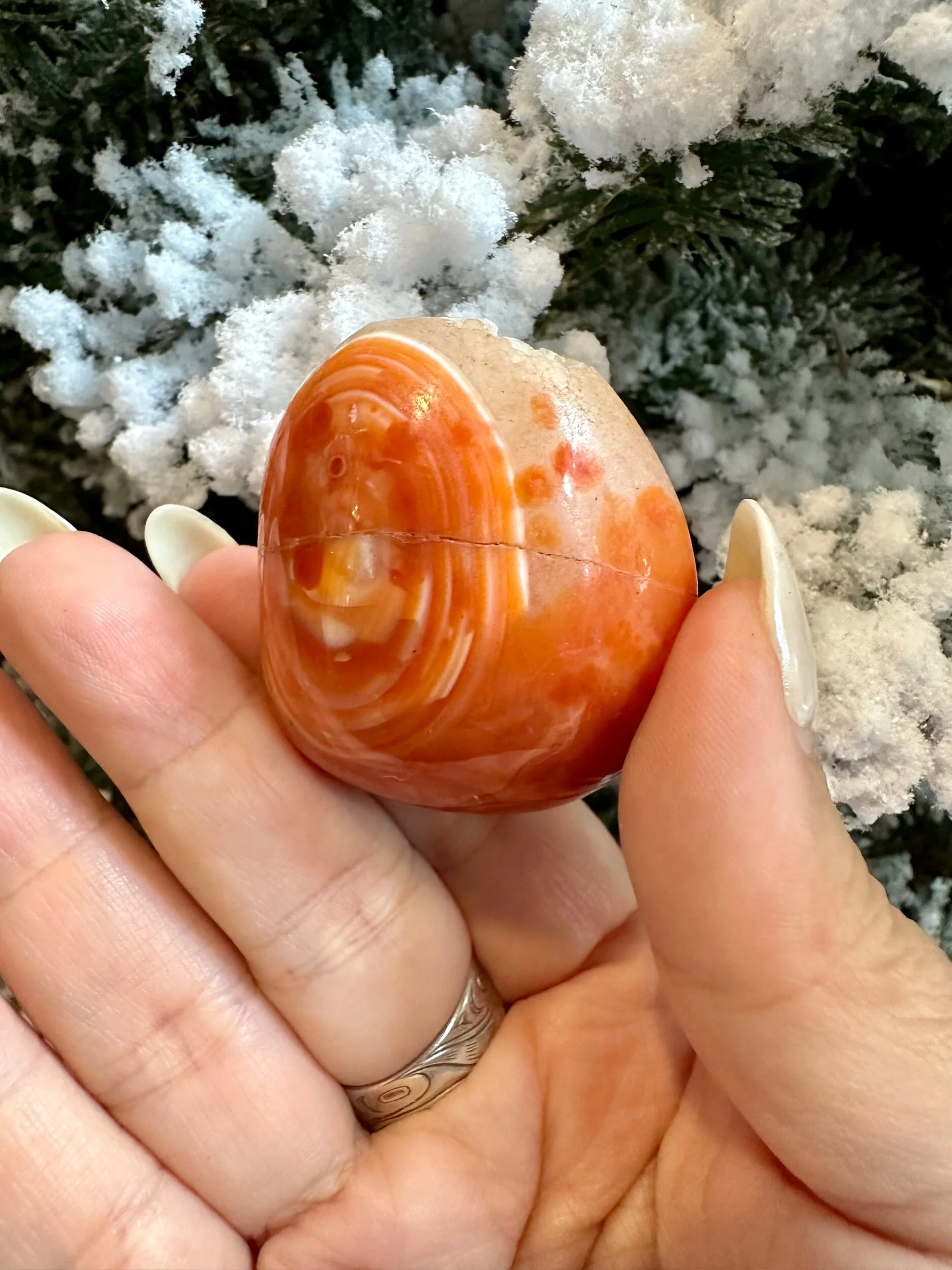 CDB0B1CD-C2B3-4E7C-B6CA-8CE5DD8F3F81