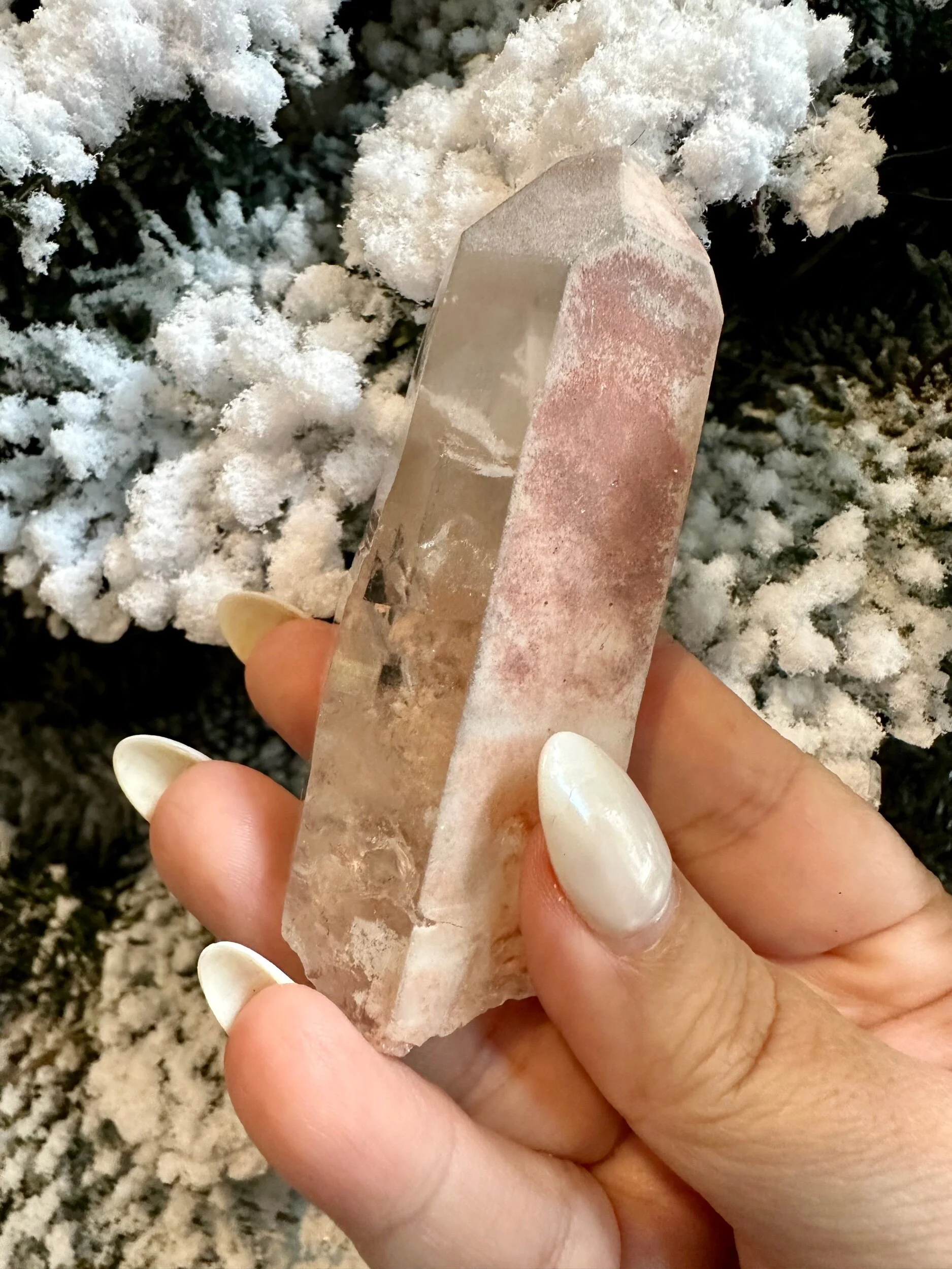 E665CB4B-8481-4B5D-B55C-4CEC3B96849C