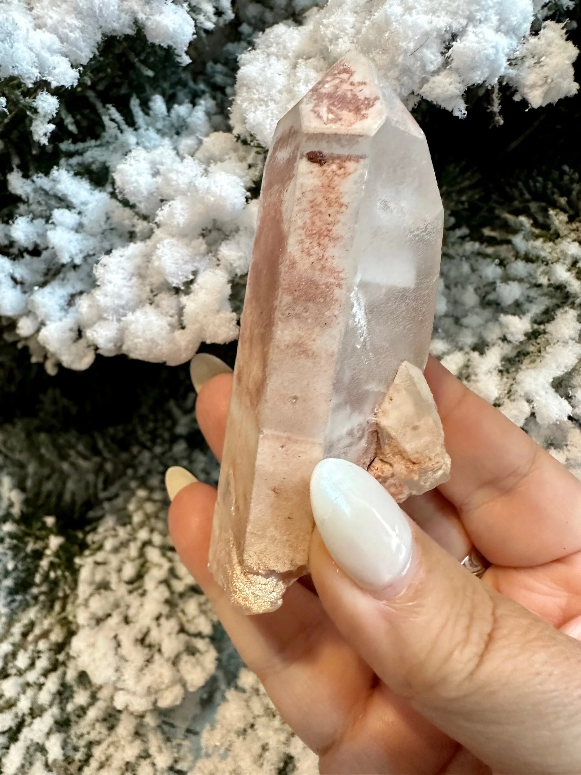 EF49EBA5-3BA4-465D-8AAA-B59449E28C2B