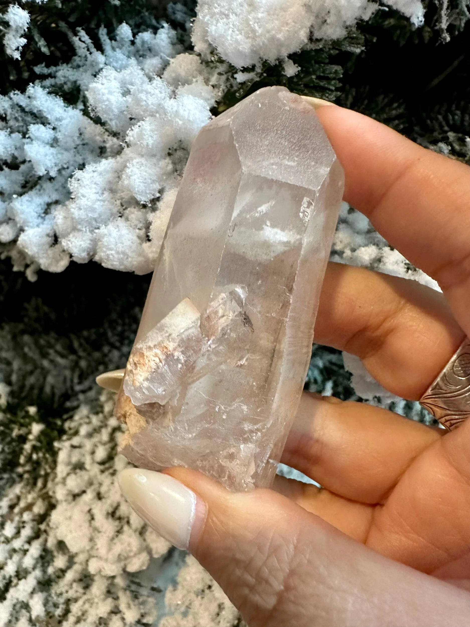 A55B4D7A-30A7-41A3-BC19-45927ABAB804