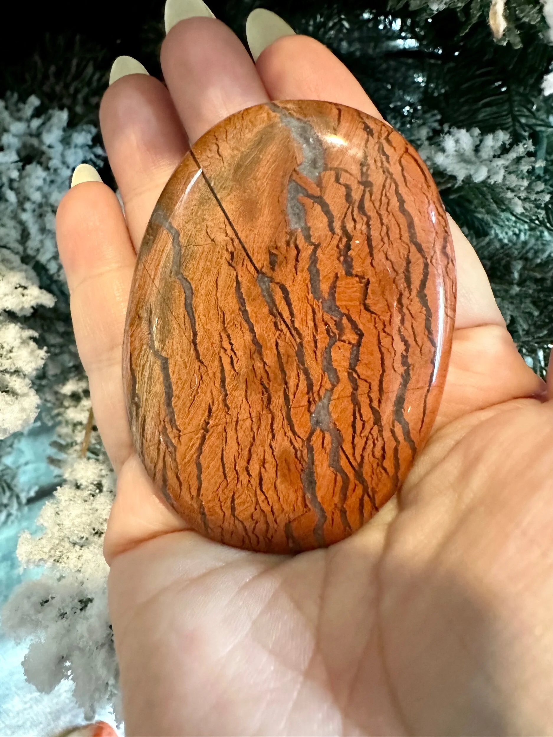 4A0E8AE9-0694-4922-95CC-3C2E30E05352