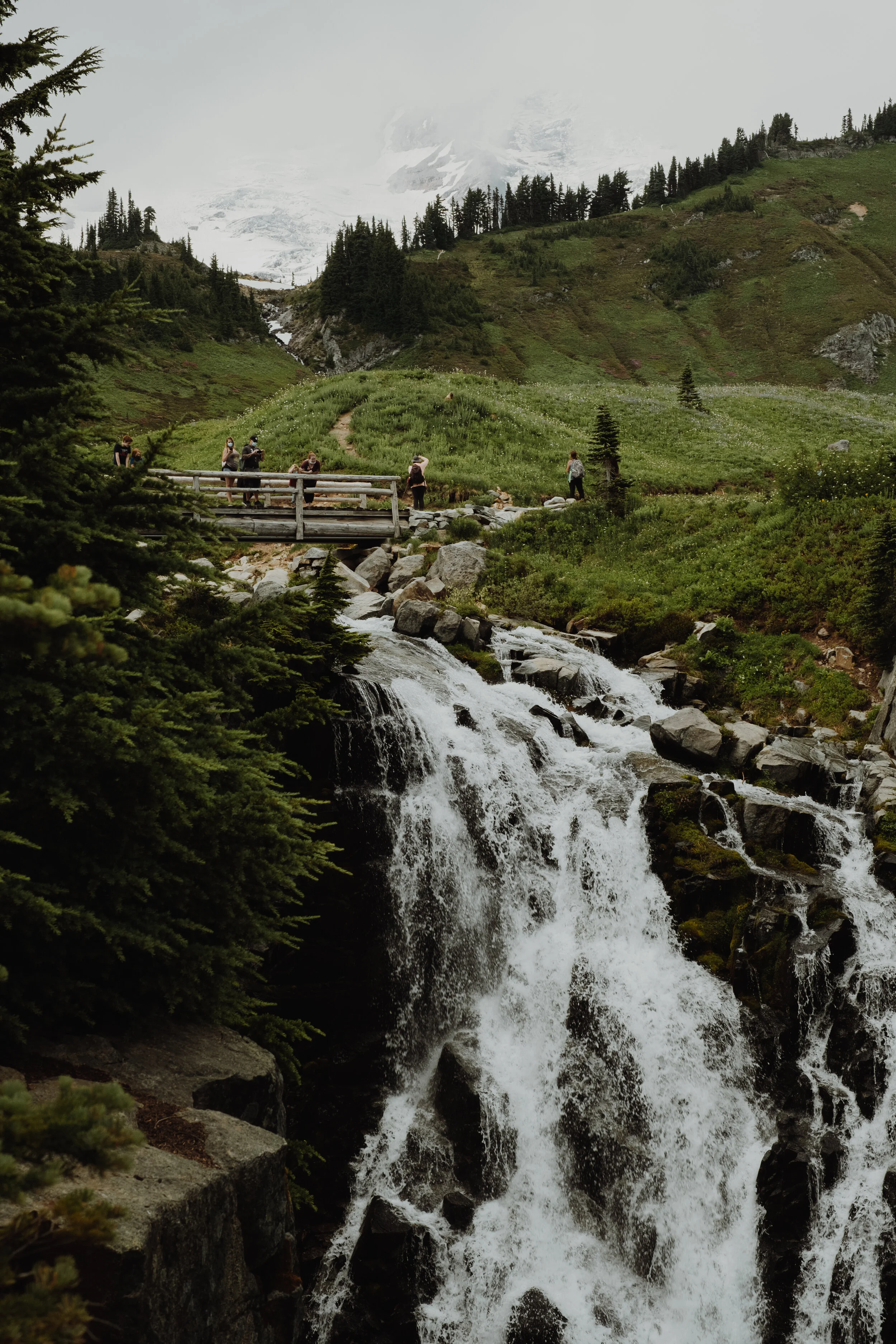 SEATTLE nature-4.jpg