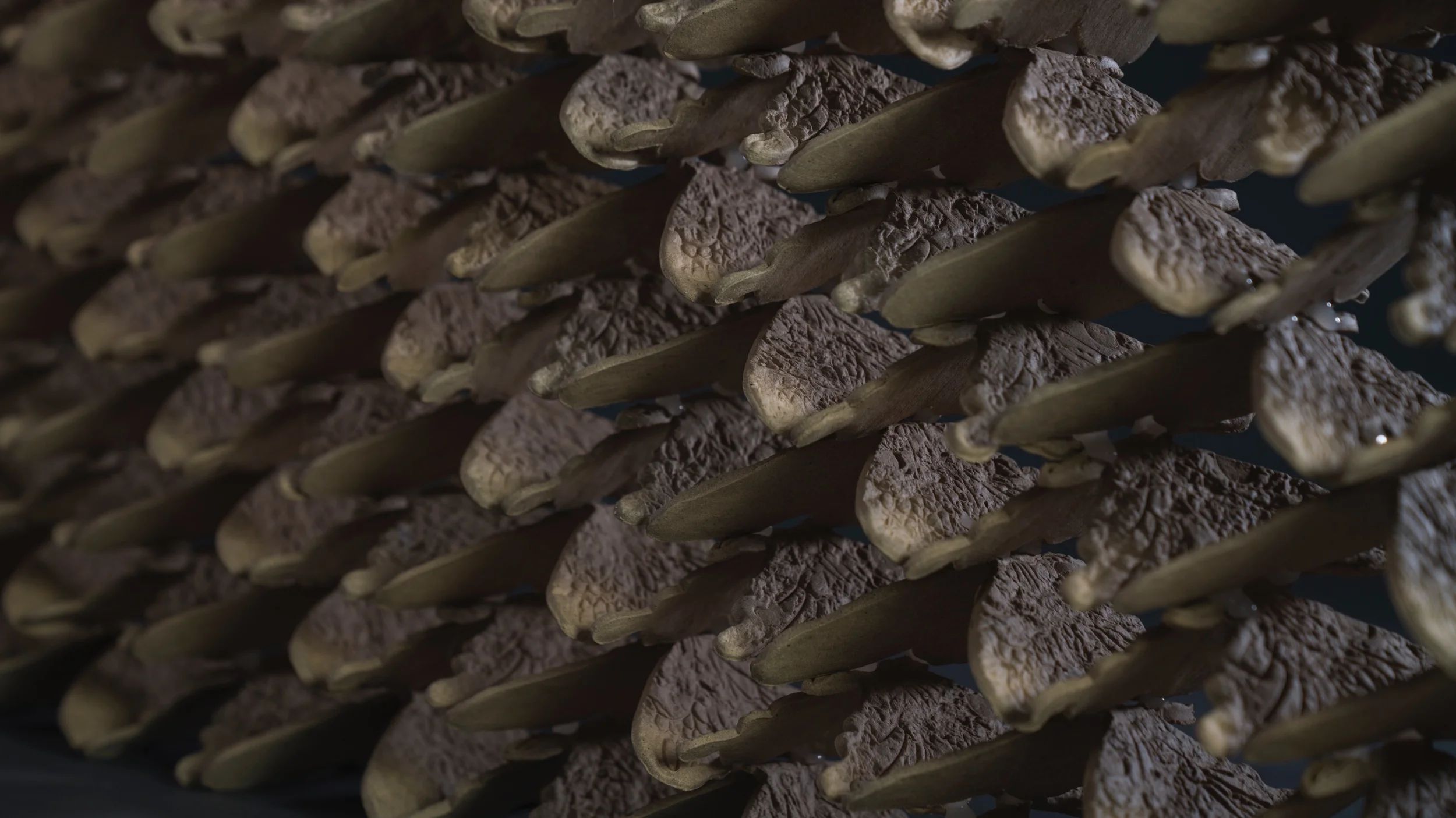 陈艺楠-翼之形NO.1- 3.jpeg