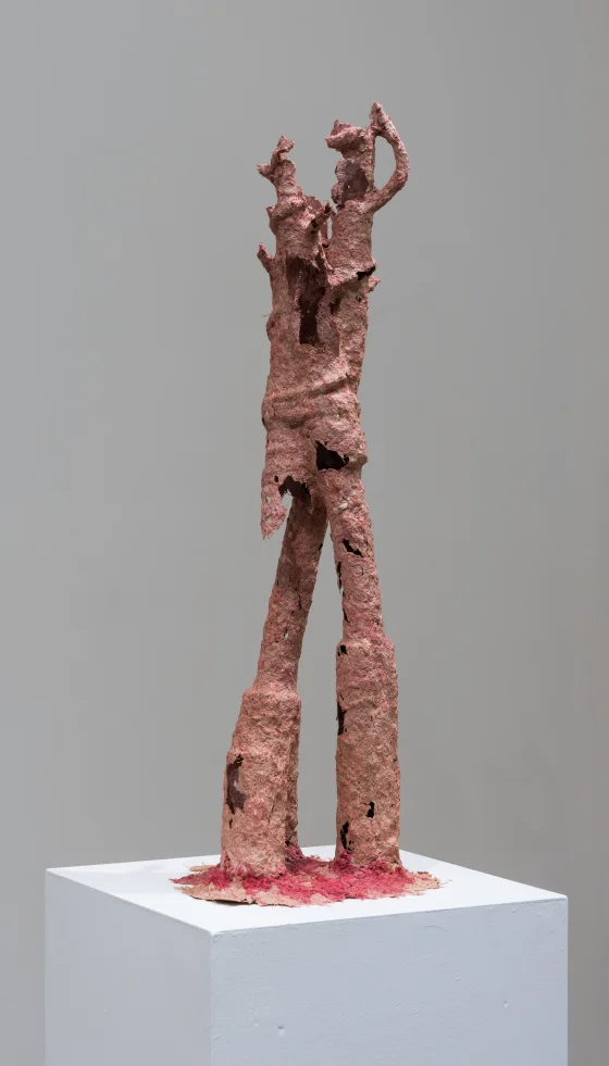 Morphologies-40a.jpg