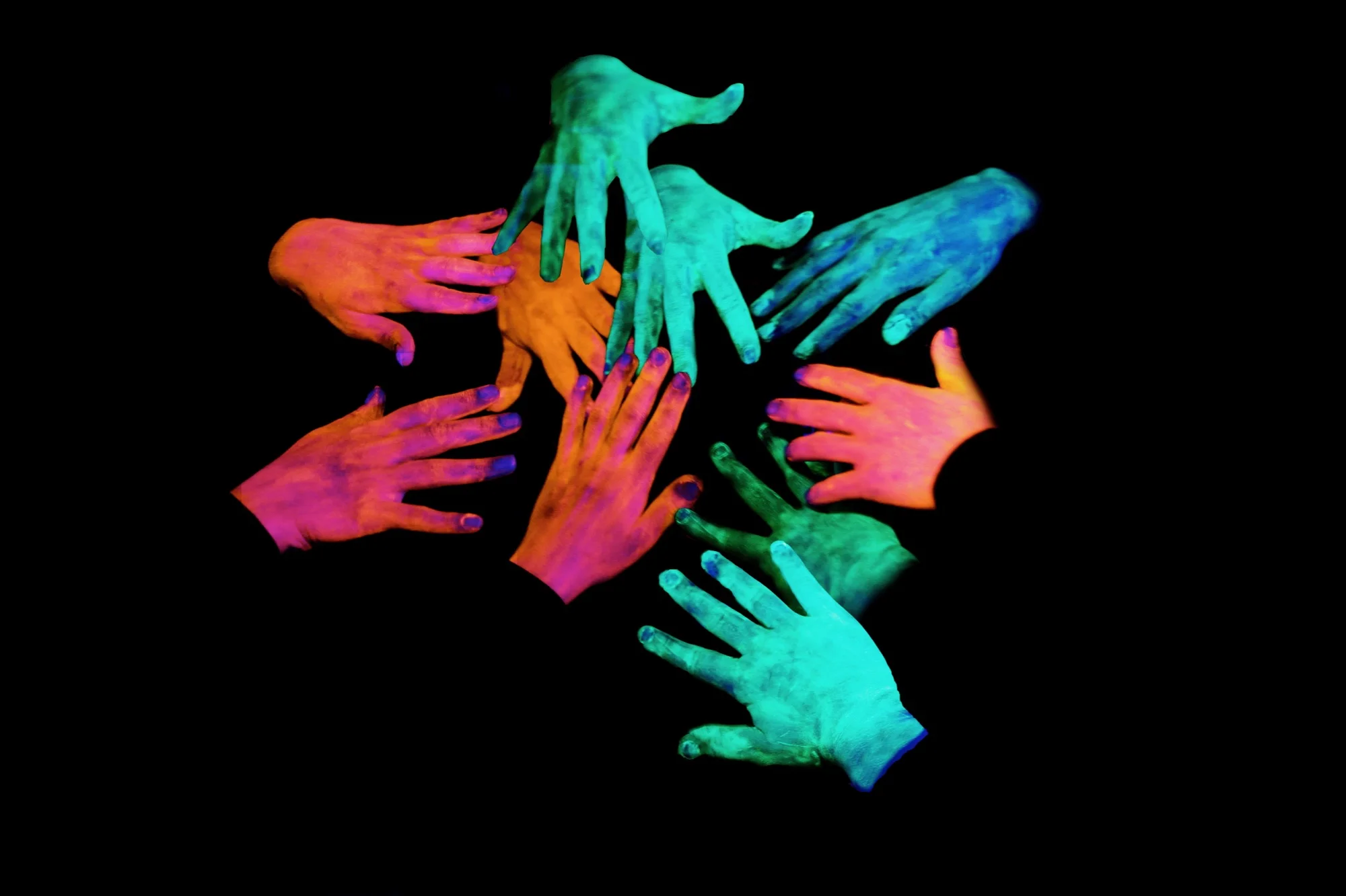 WGPWebsite - 3.jpg
