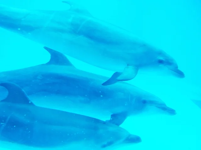 スピリチュアルカウンセラー養成講座２０２０　募集開始します