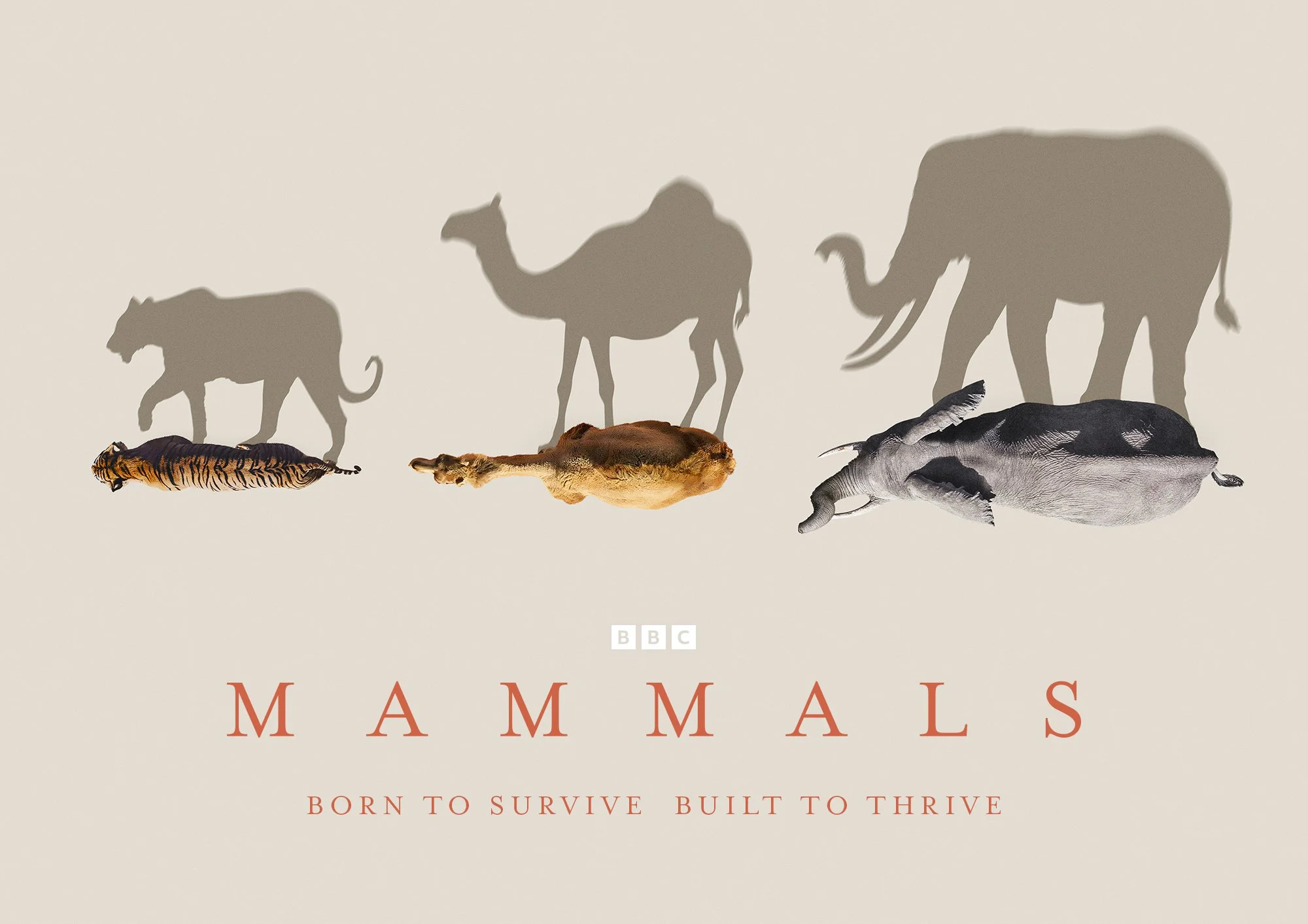 Mammals_Iconic_Landscape_2000px.jpg
