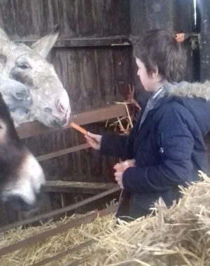 Nathan (year 6) at a care farm - part of his personal development programme.