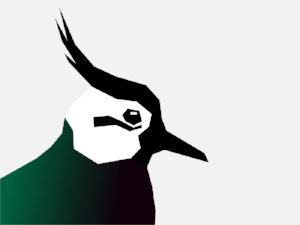 Naomi, a participant on Minding The Gap, designed the current Lapwing logo (2018).