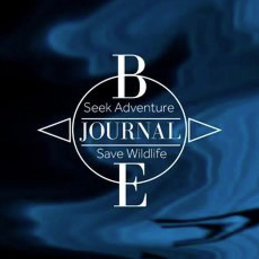 be journal.jpg