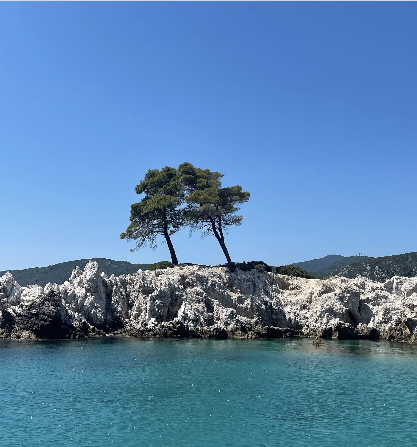 Screenshot 2026-02-07 at 17.13.10.png