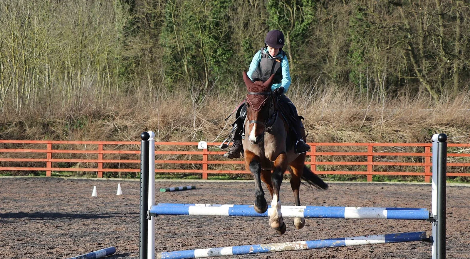 Rachel Ashworth Equestrian Coaching!
