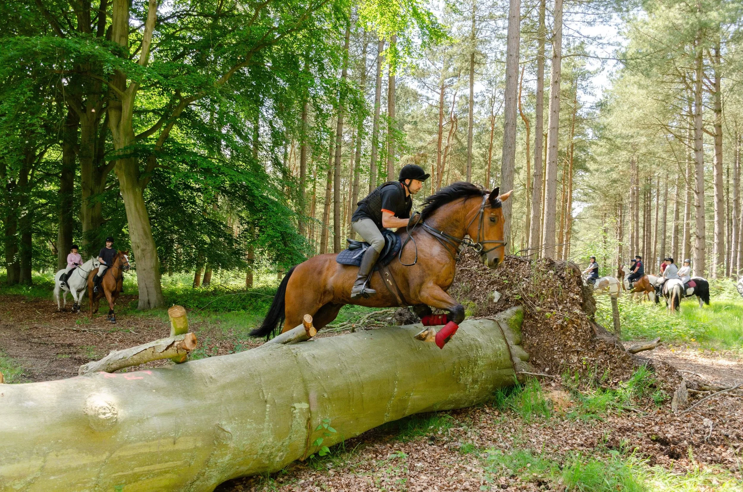 Teaching an adult to learn to ride