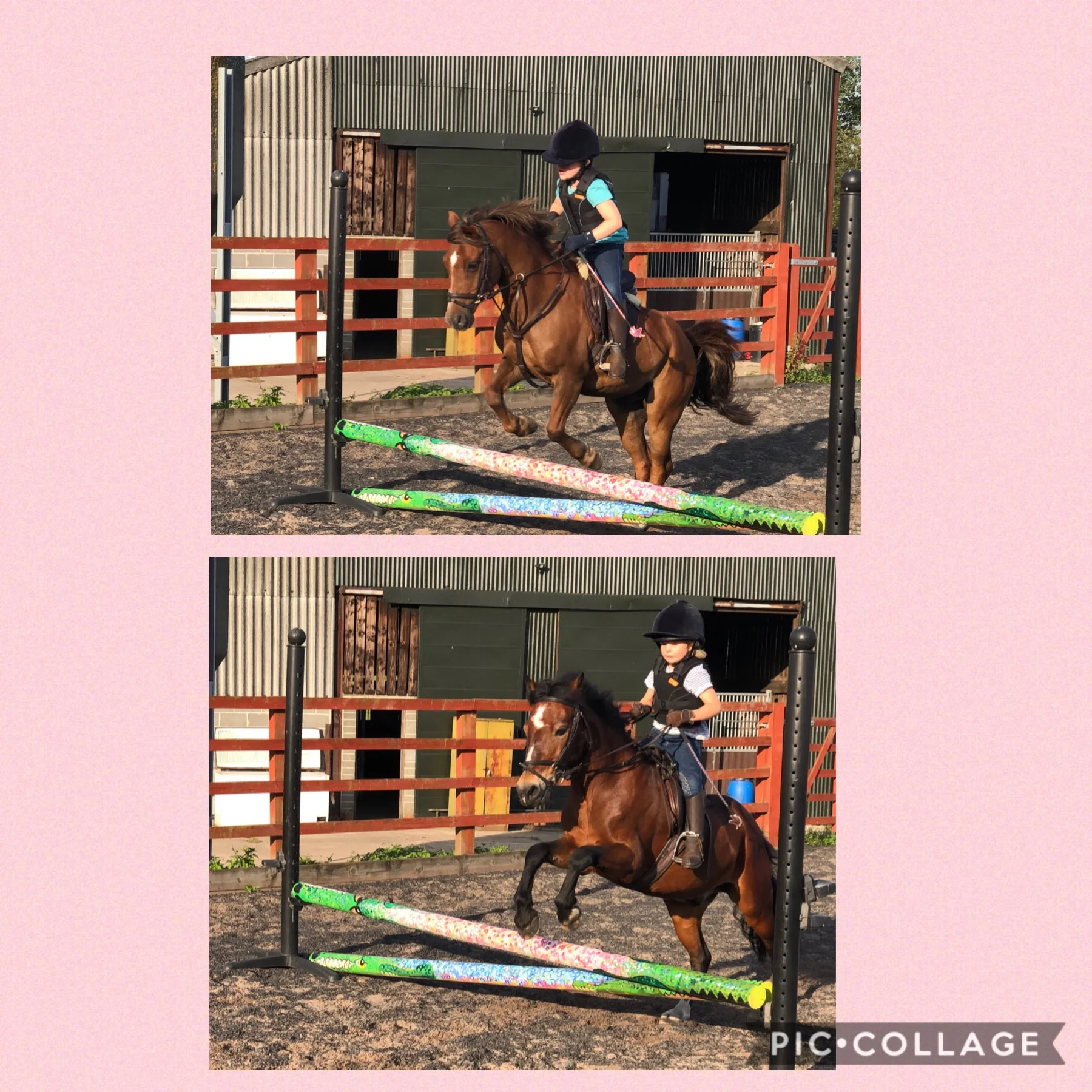 Teaching children and crocodile poles