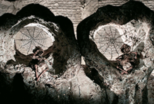 REMEMBER US (DIARIES FROM THE MYTHIC UNDERGROUND)