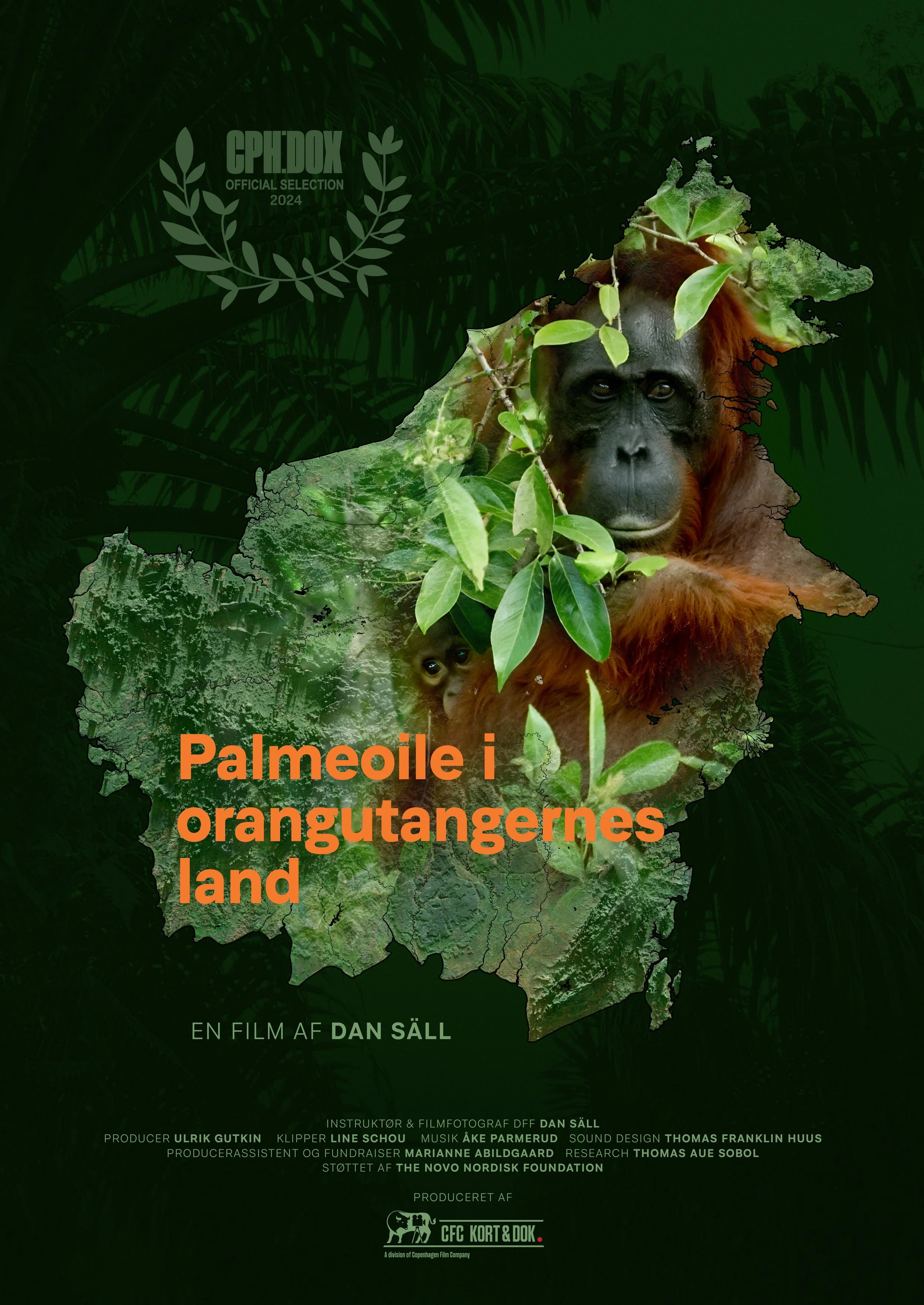 PALMEOLIE I ORANGUTANGERNES LAND &amp; PLANTAGEN