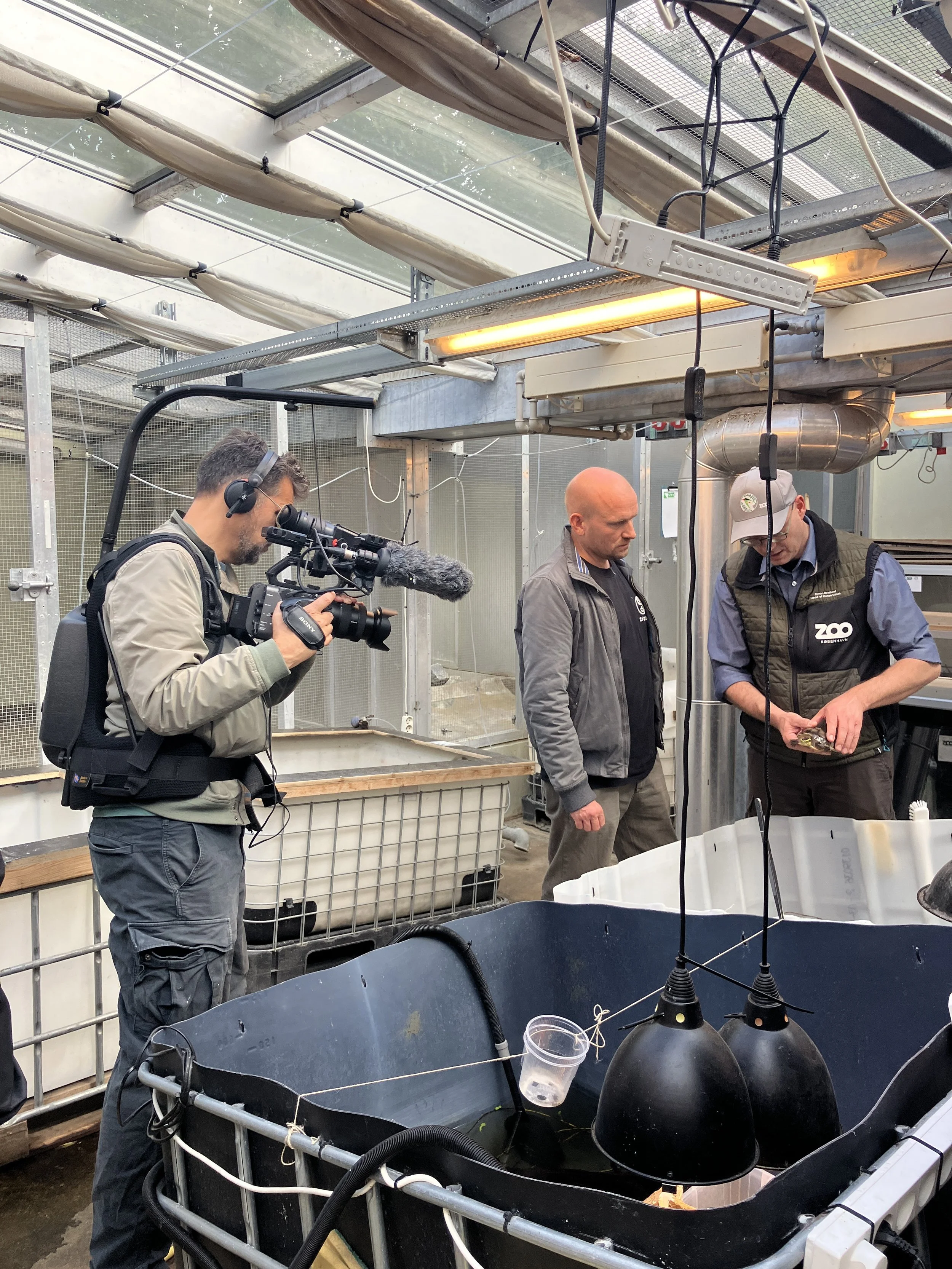 SAMMEN PASSER VI PÅ DYRENE (ARBEJDSTITEL)