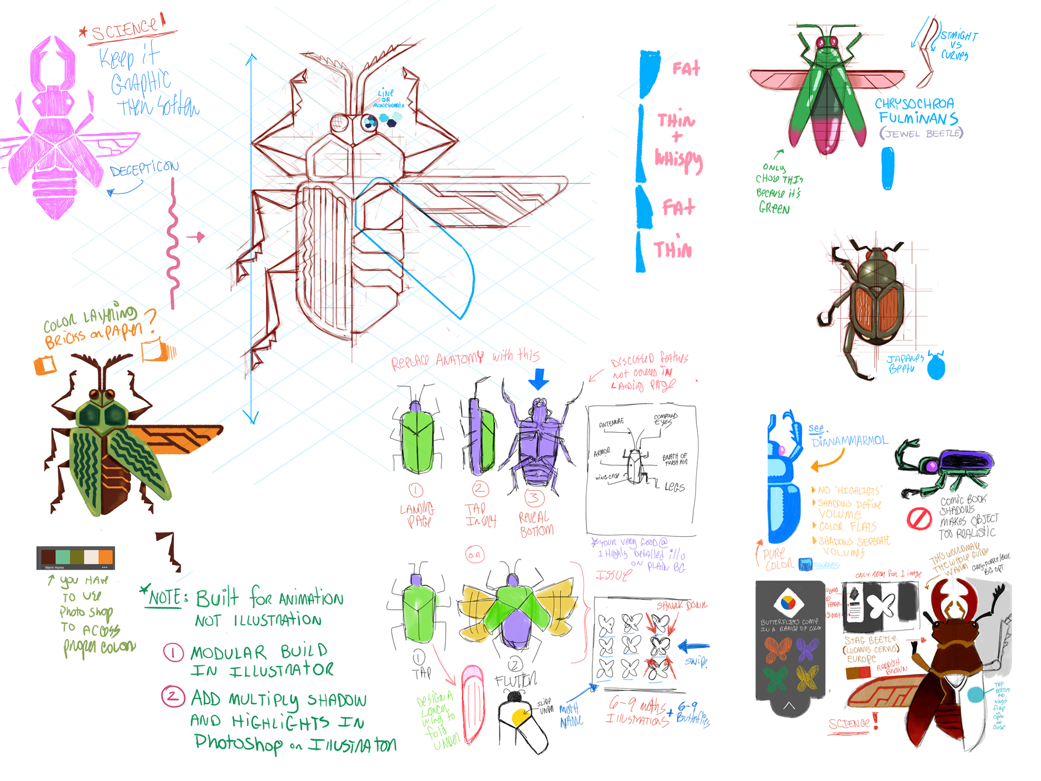 Beetle-Sketches.jpg