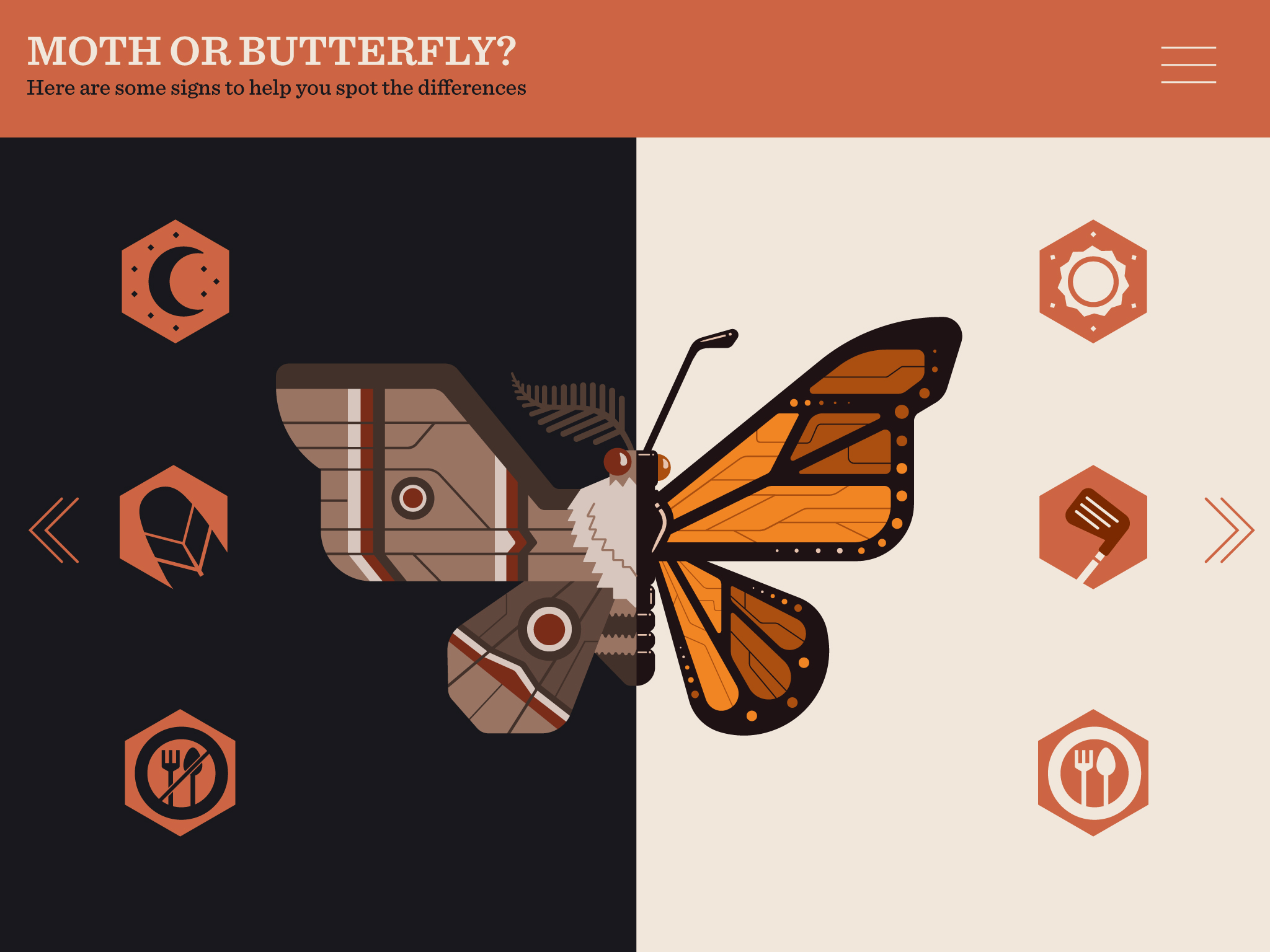 Insect-App-Moth-or-Butterfly.jpg