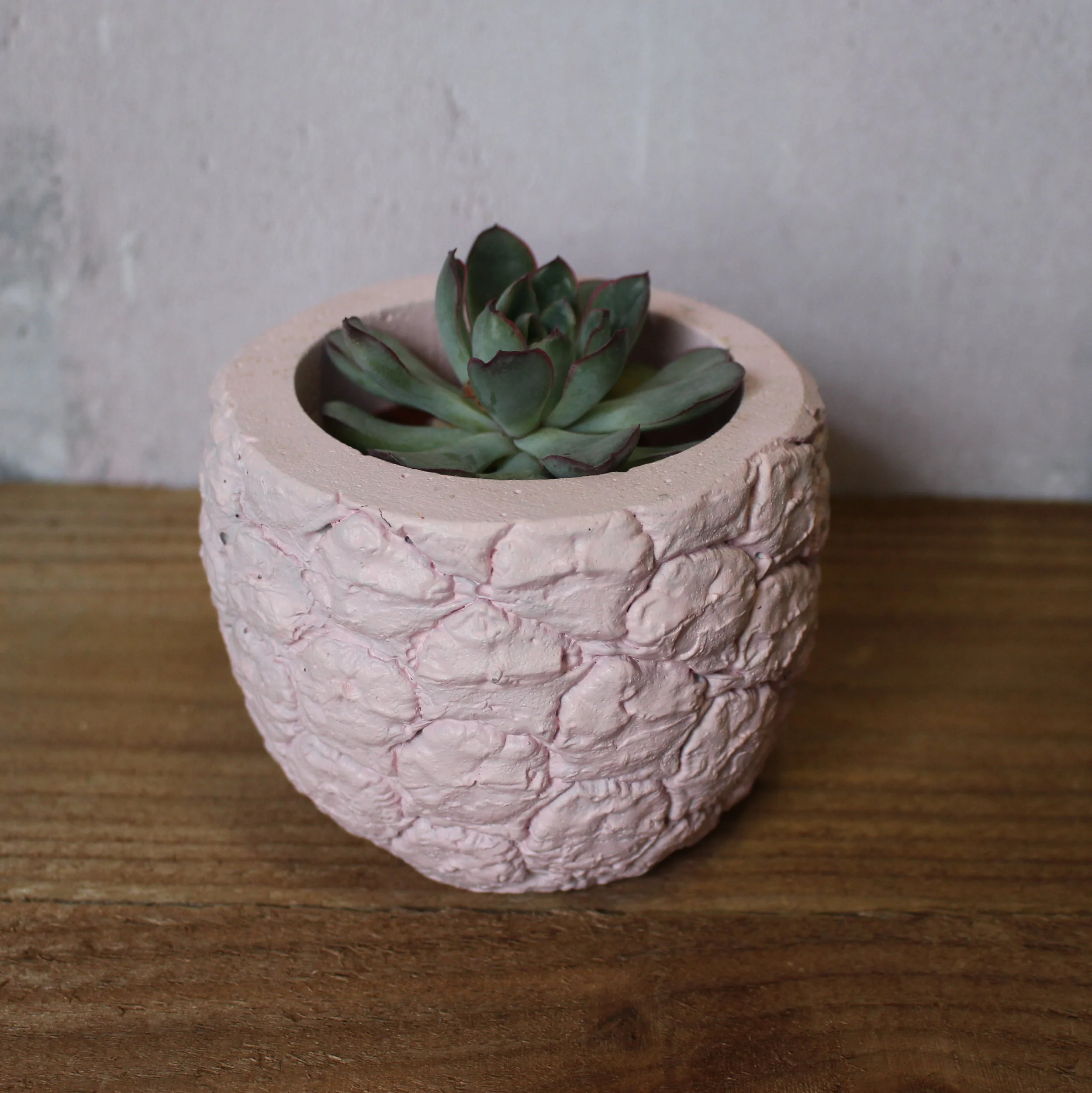 Pineapple Planter