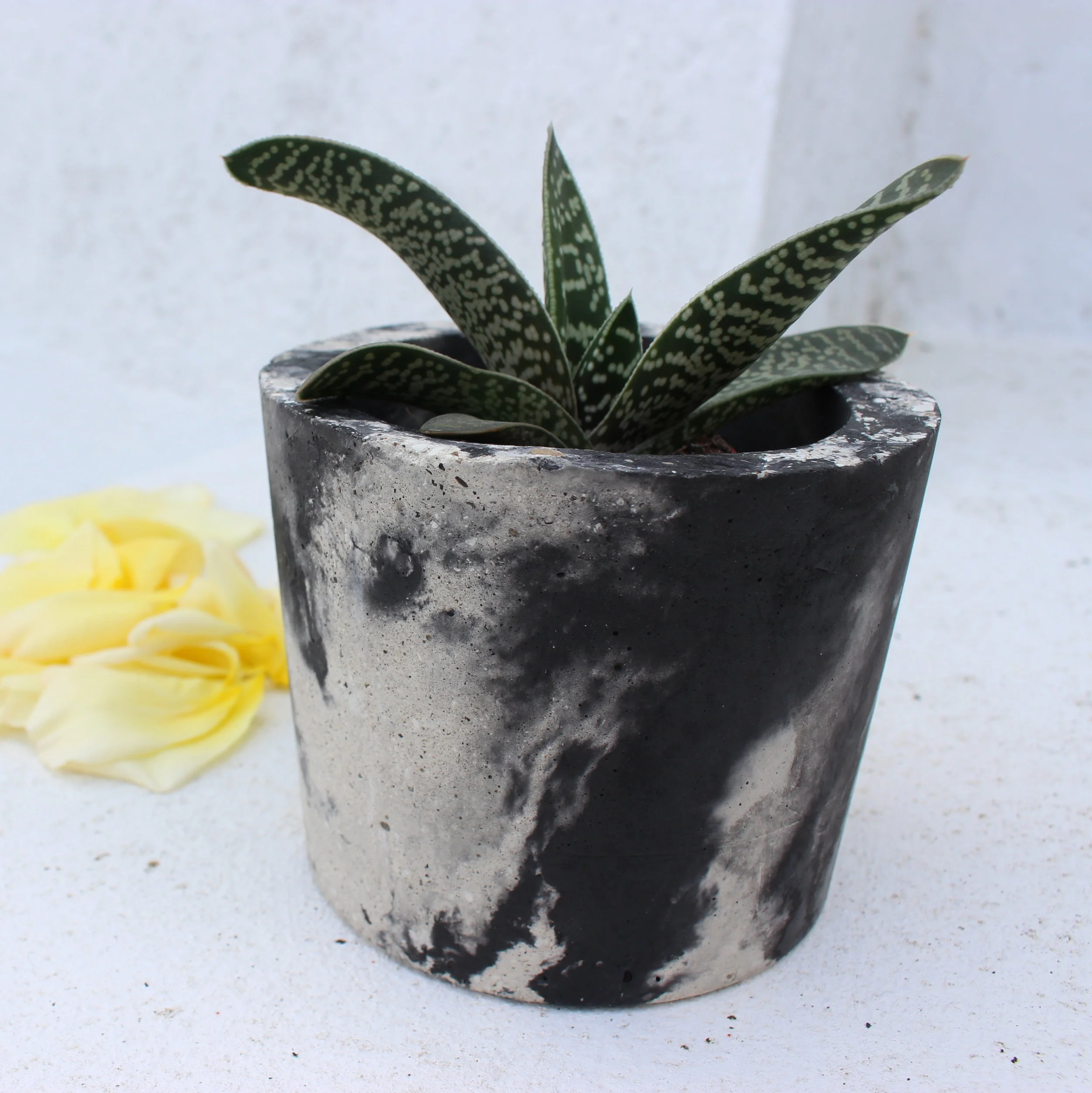 Cylinder Planter