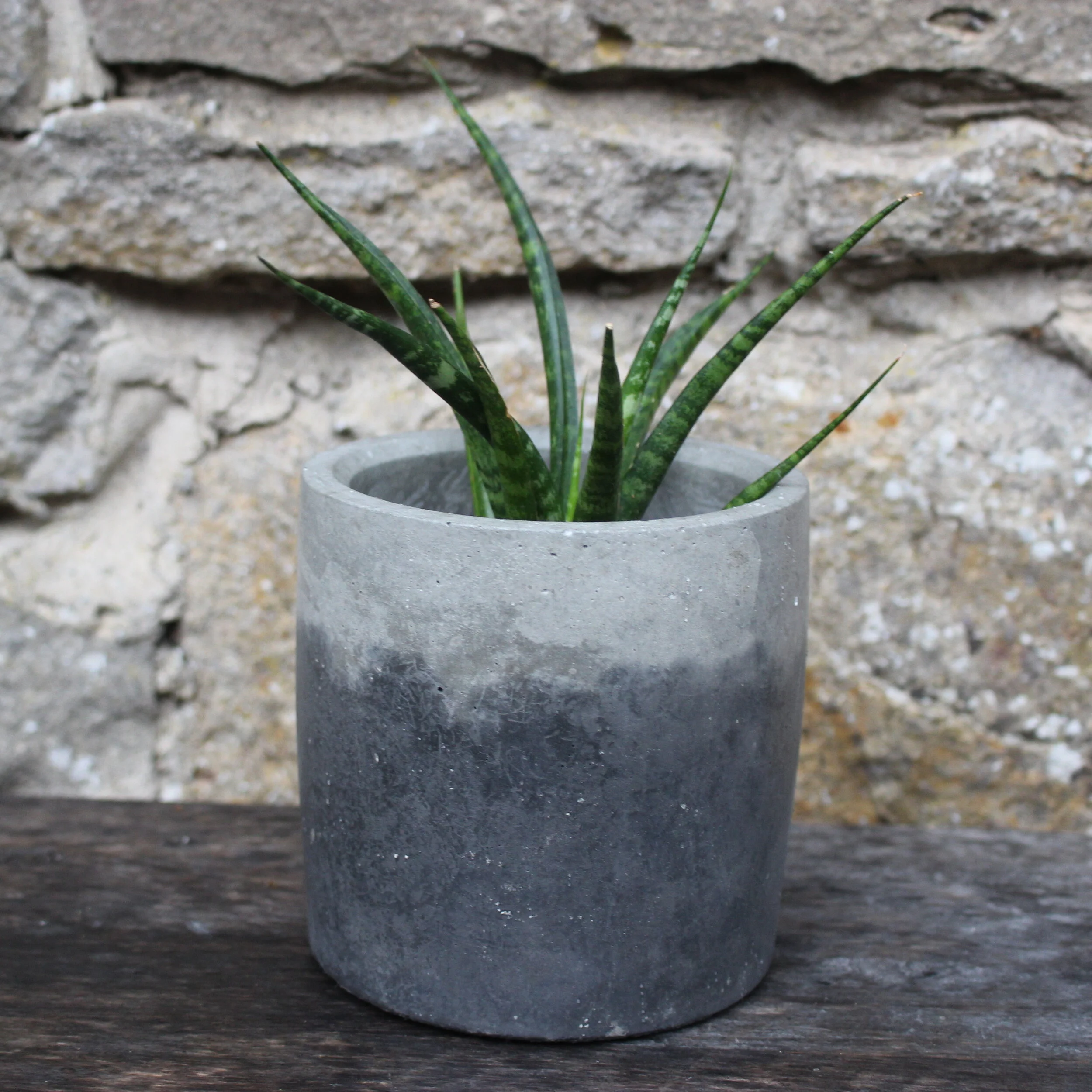Smooth Top Pot