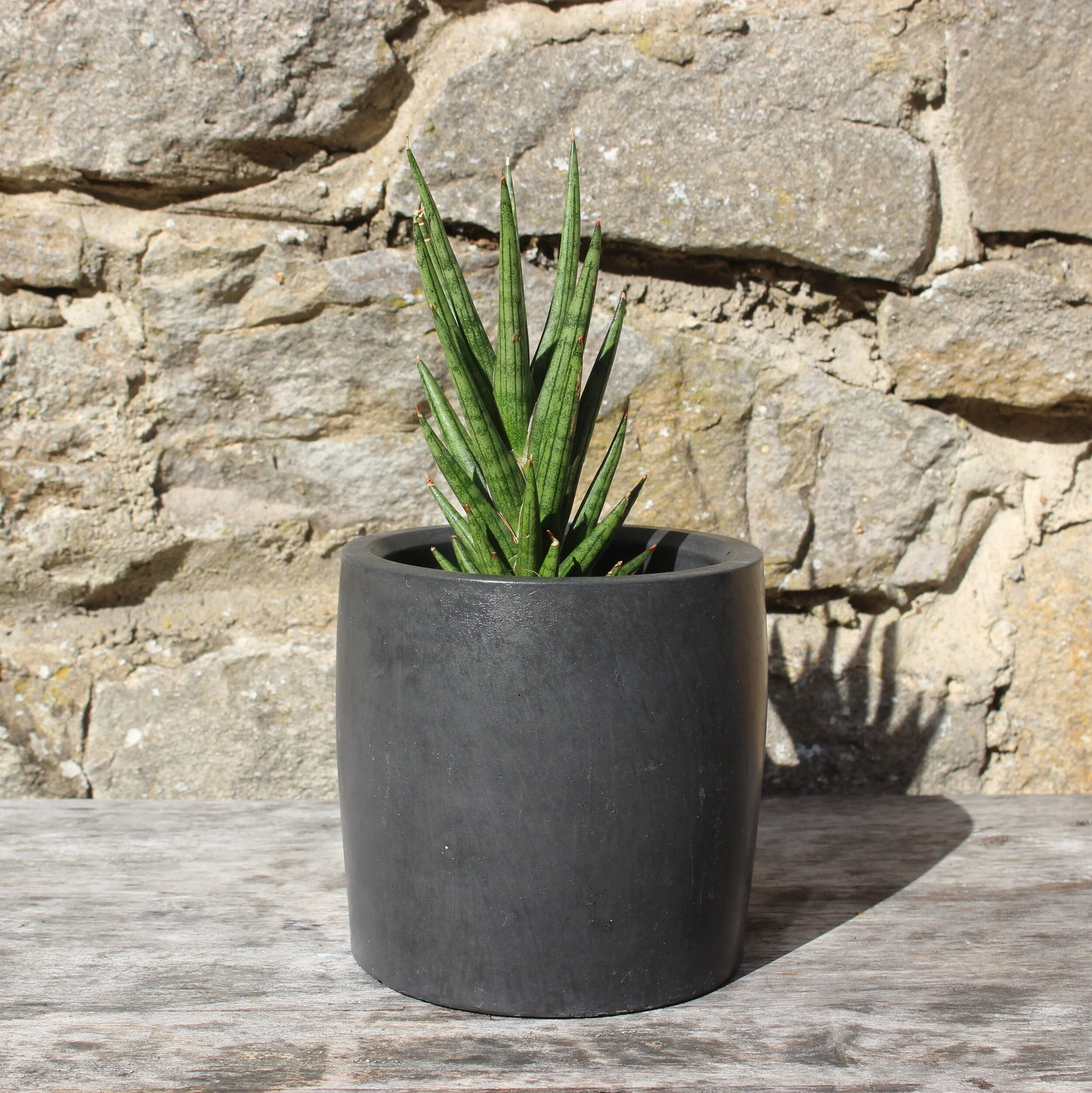 Smooth Top Pot