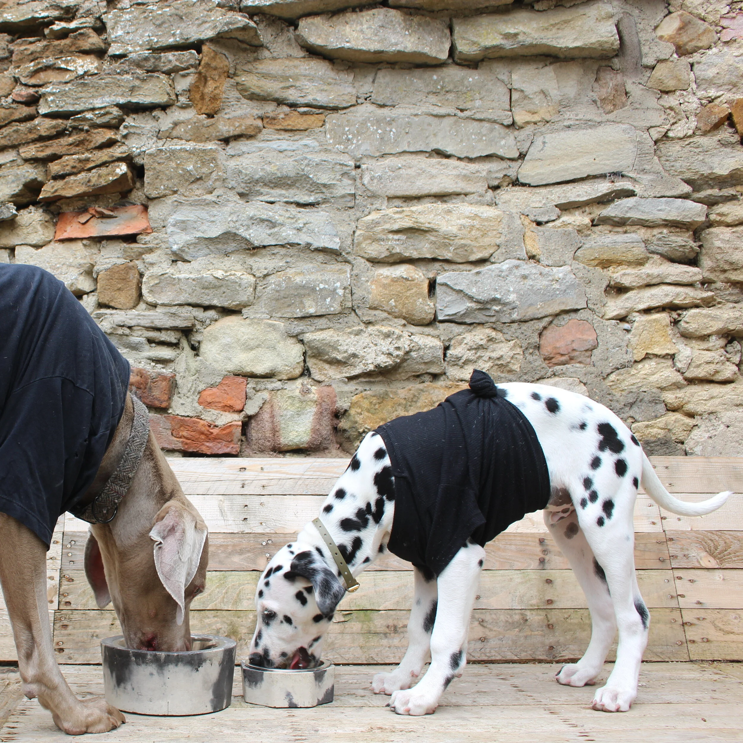 Hexagon Puppy/Cat Bowl