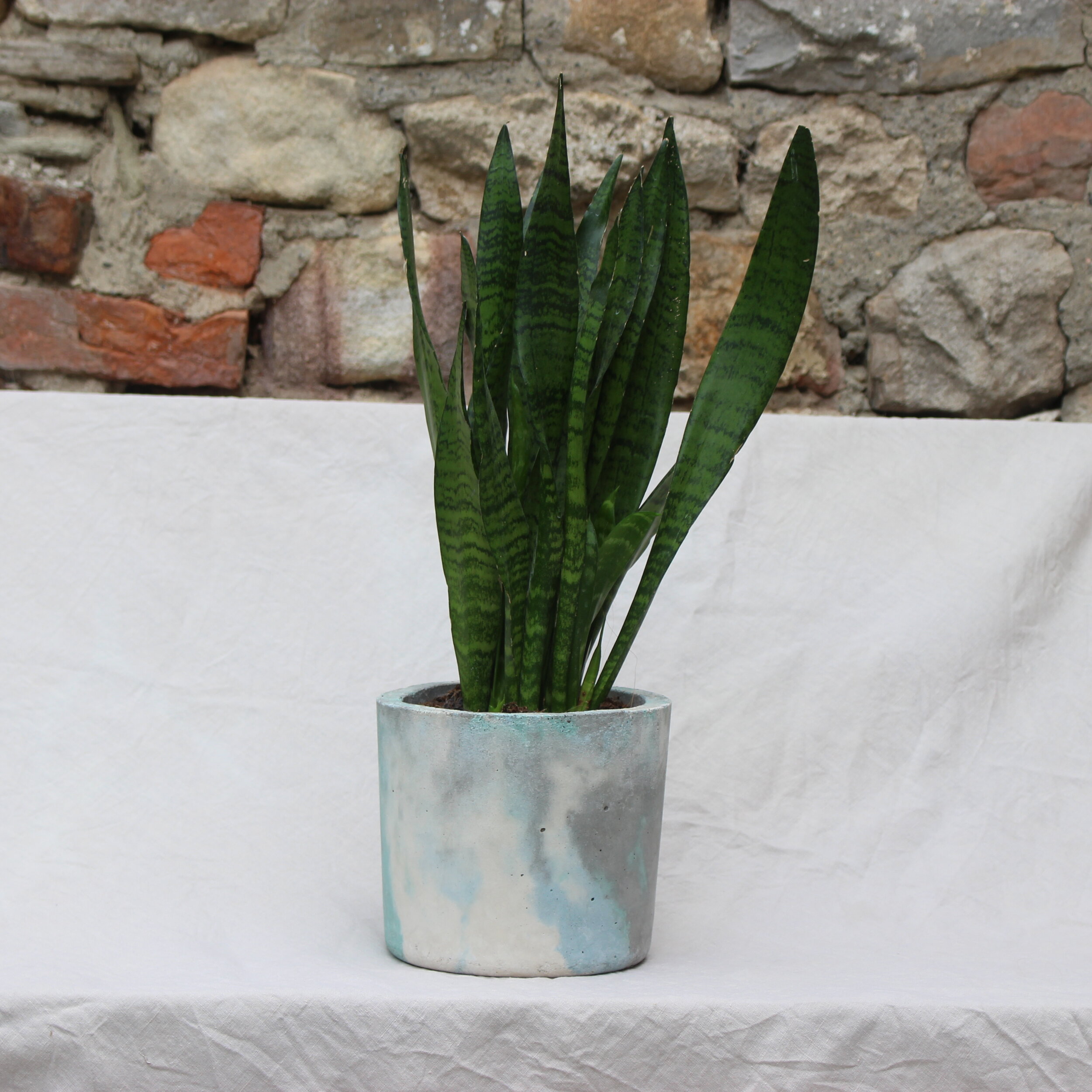 Large Cylinder Planter