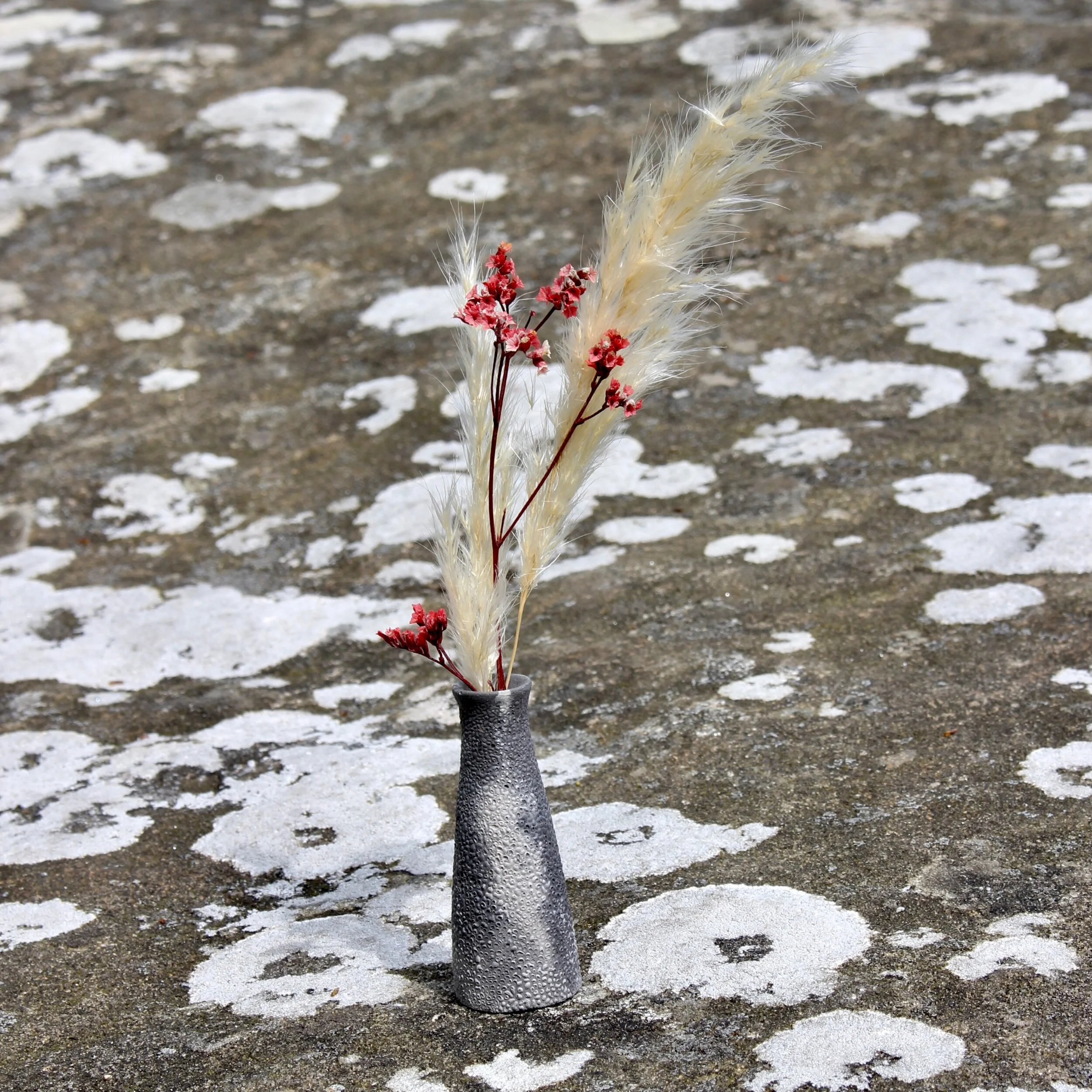 E4A771C9-2709-40B6-B6E2-F8A05B6AB7DB