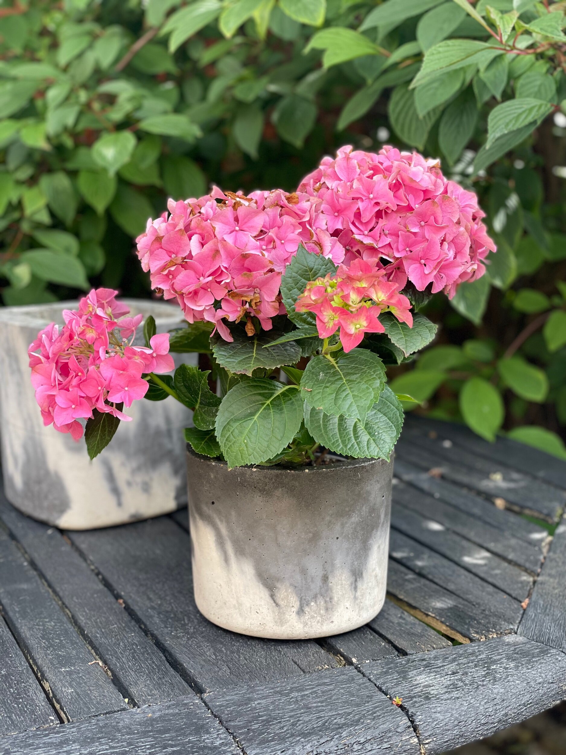 AC674BB1-2E2A-4B37-971C-F97444B55318