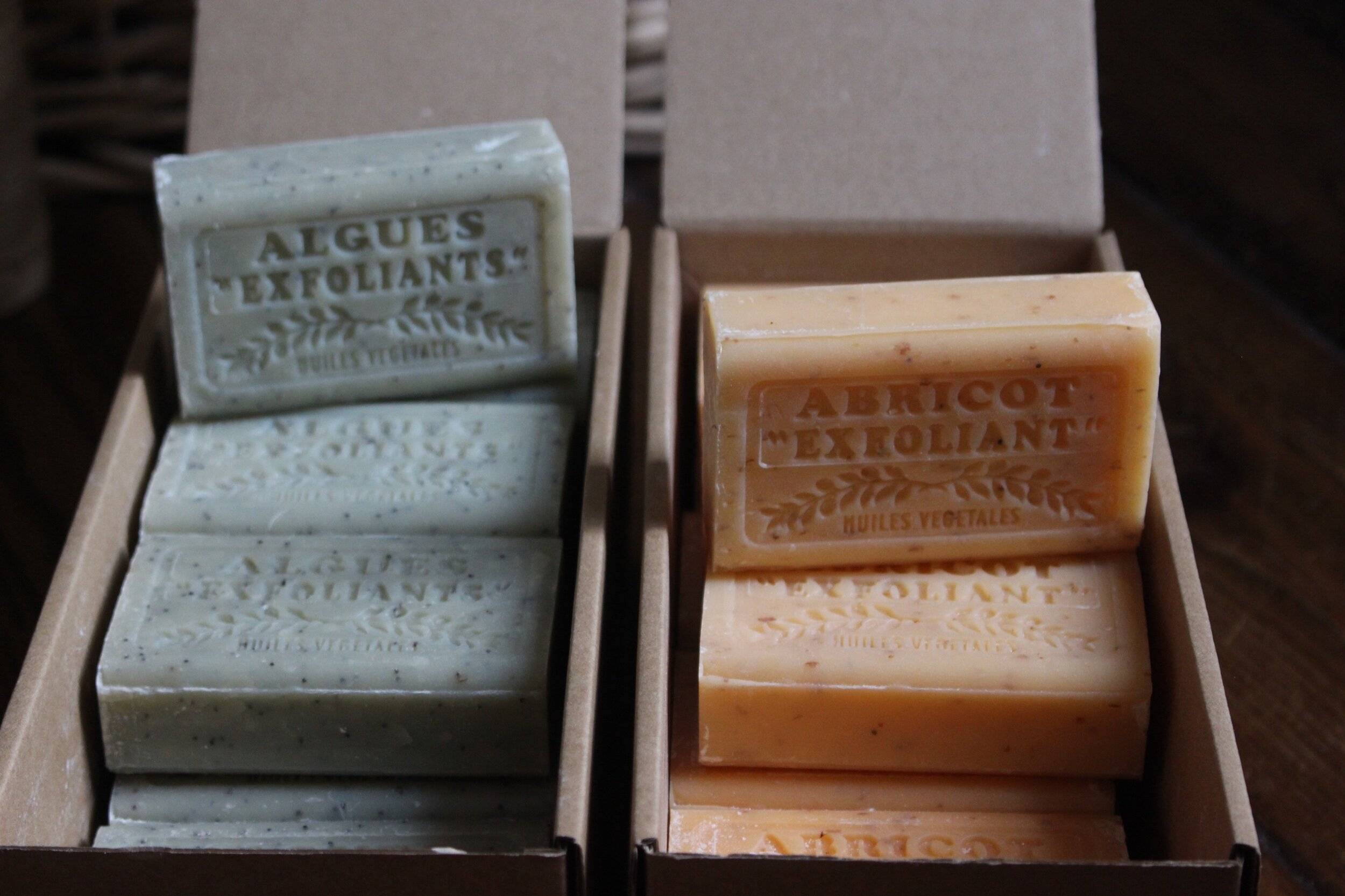 76F37549-CCC6-4E9F-B977-8BEC1A06330D