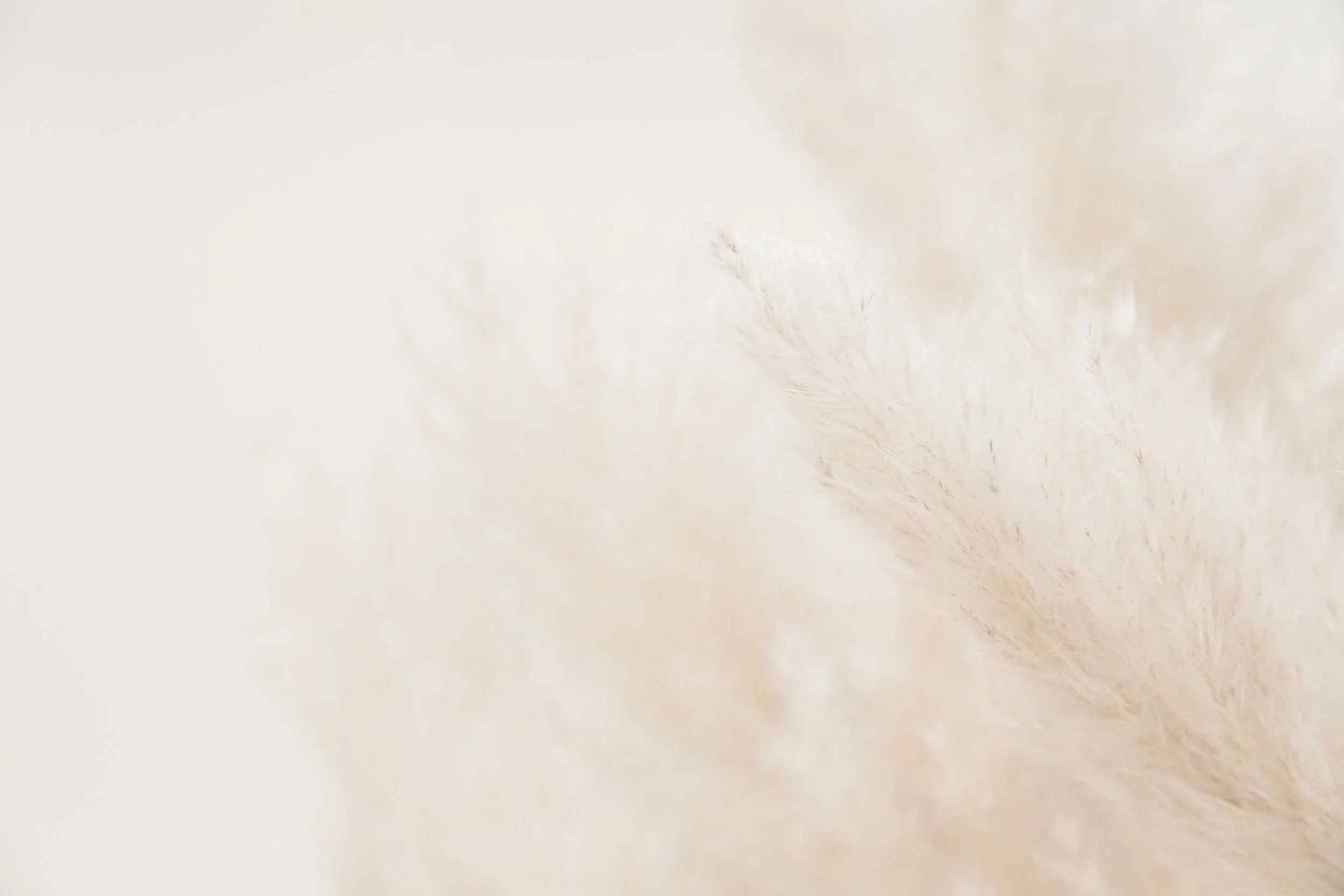 MainHeader_Light.jpg