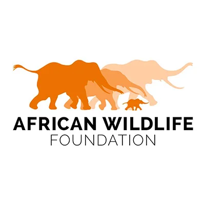 African Wildlife Foundation