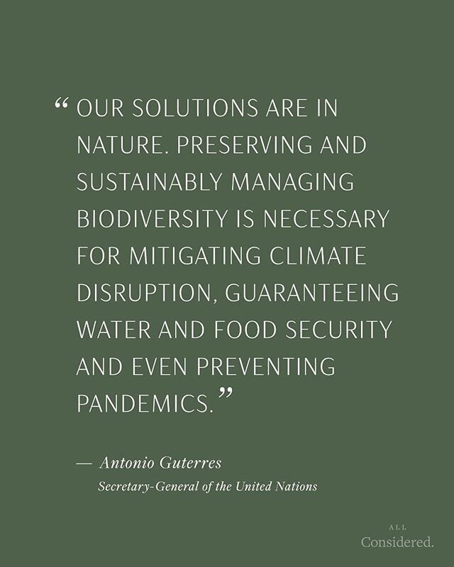 &quot;OUR SOLUTIONS ARE IN NATURE&quot; is this year's theme for&nbsp;#biodiversityday ⁣
⁣
To quote @unbiodiversity :⁣
&quot;As the global community is called to re-examine its relationship to the natural world, one thing is certain: despite all our 