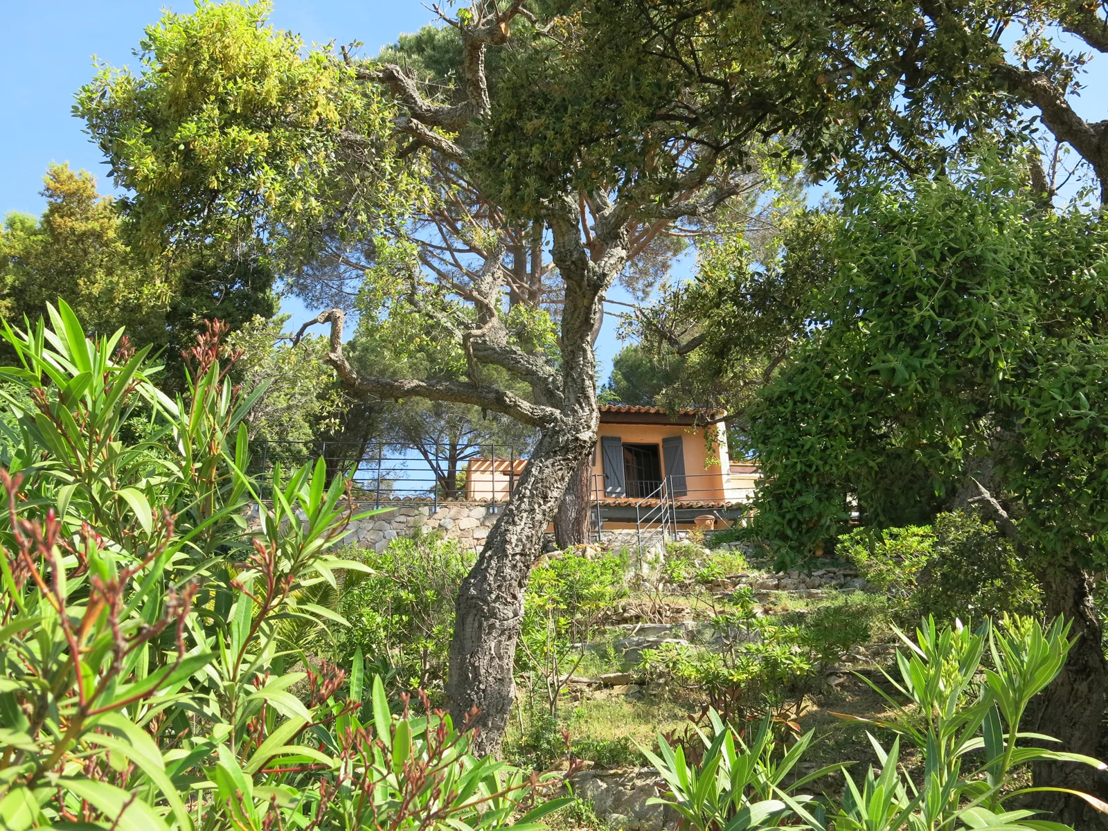 Vaulot_extension renovation_sainte maxime_07.jpg
