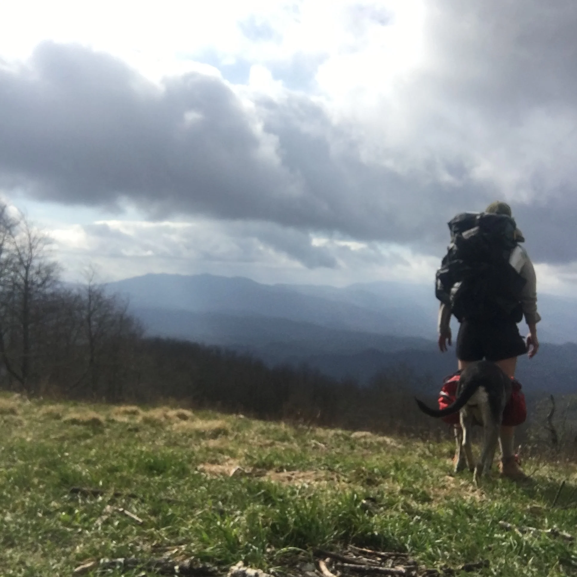 March 31, 2018: The Start [to not die slowly] 