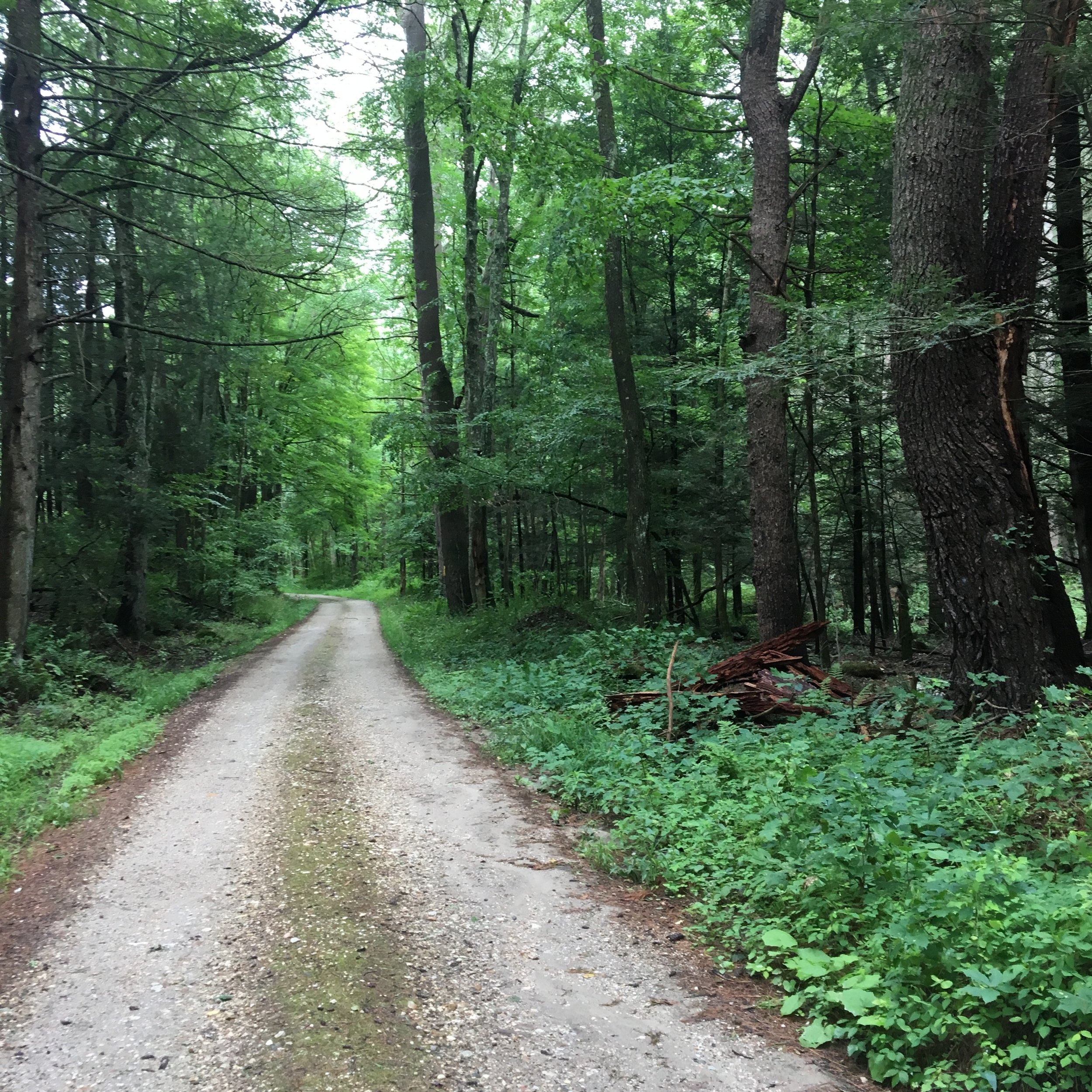 Motivations for the Final Push