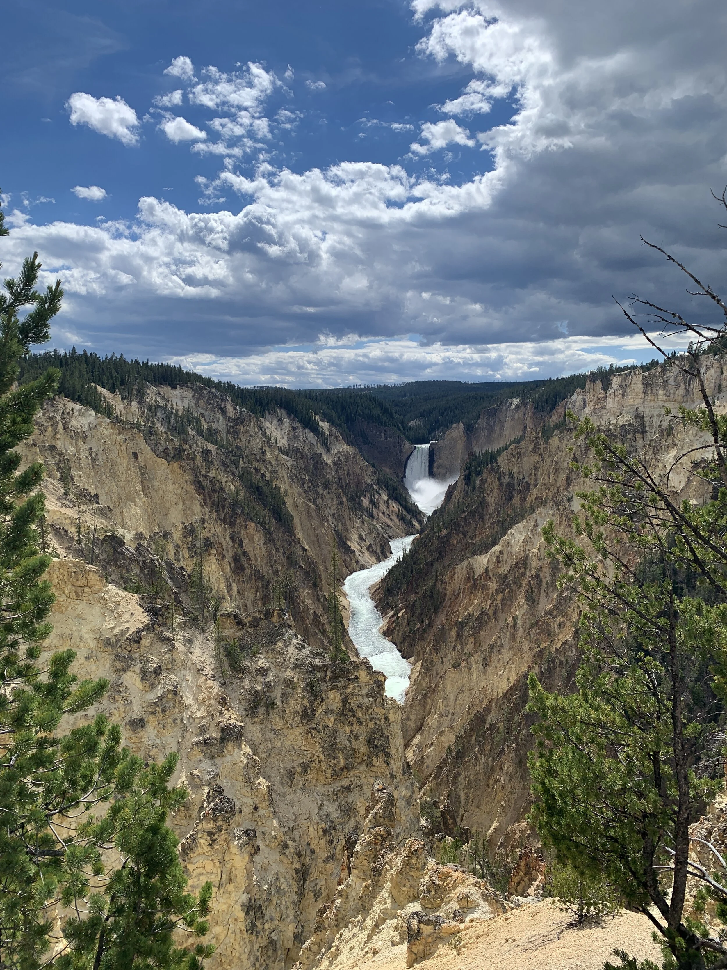 Yellowstone National Park 