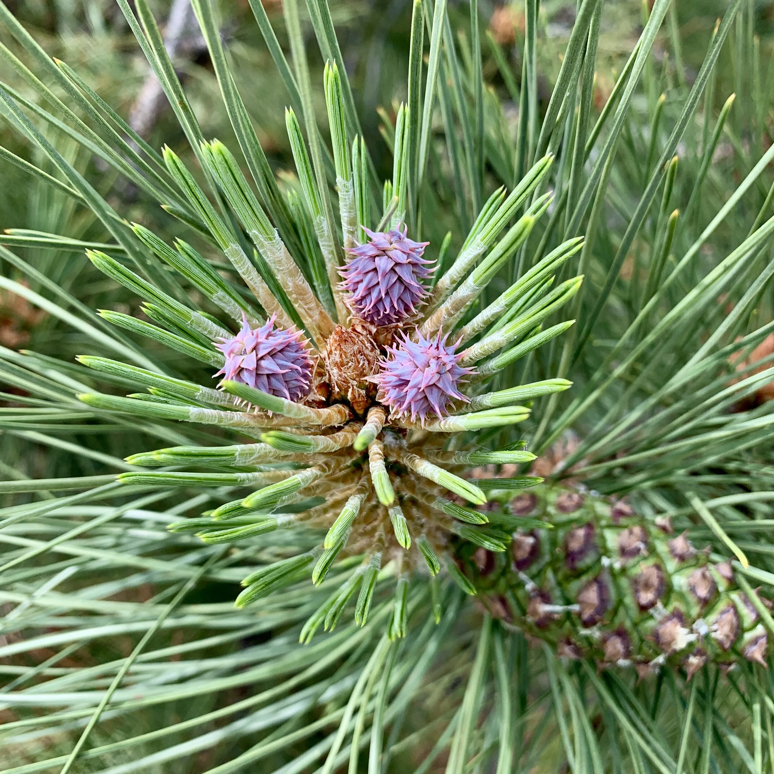 From planning to implementation